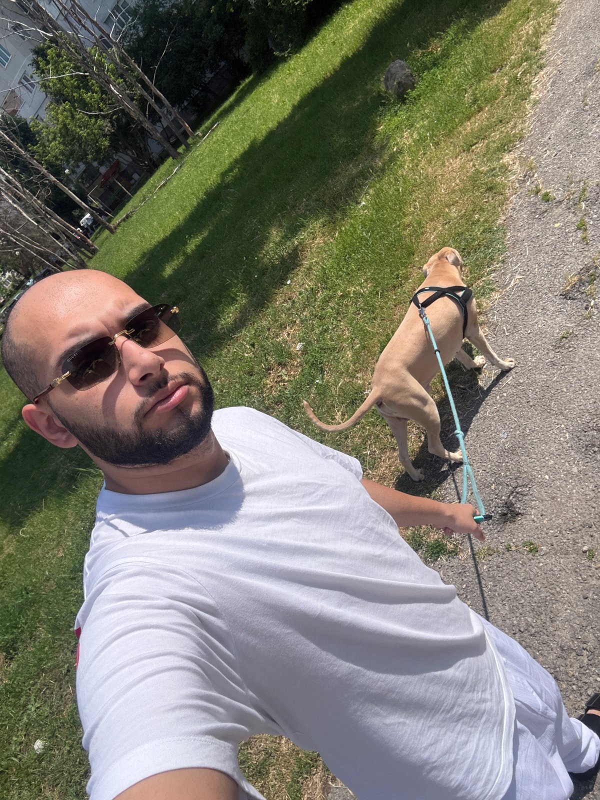 Sofia residents document morning moments with pets, cars, cityscape