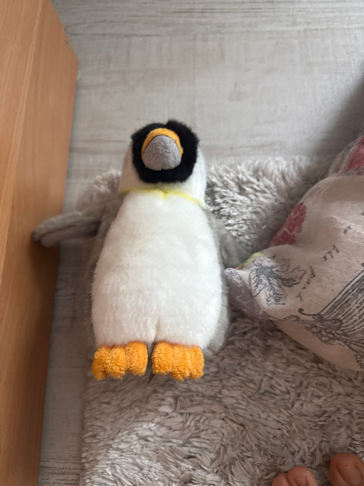 Morning domestic scenes captured in Blagoevgrad include toy, rose
