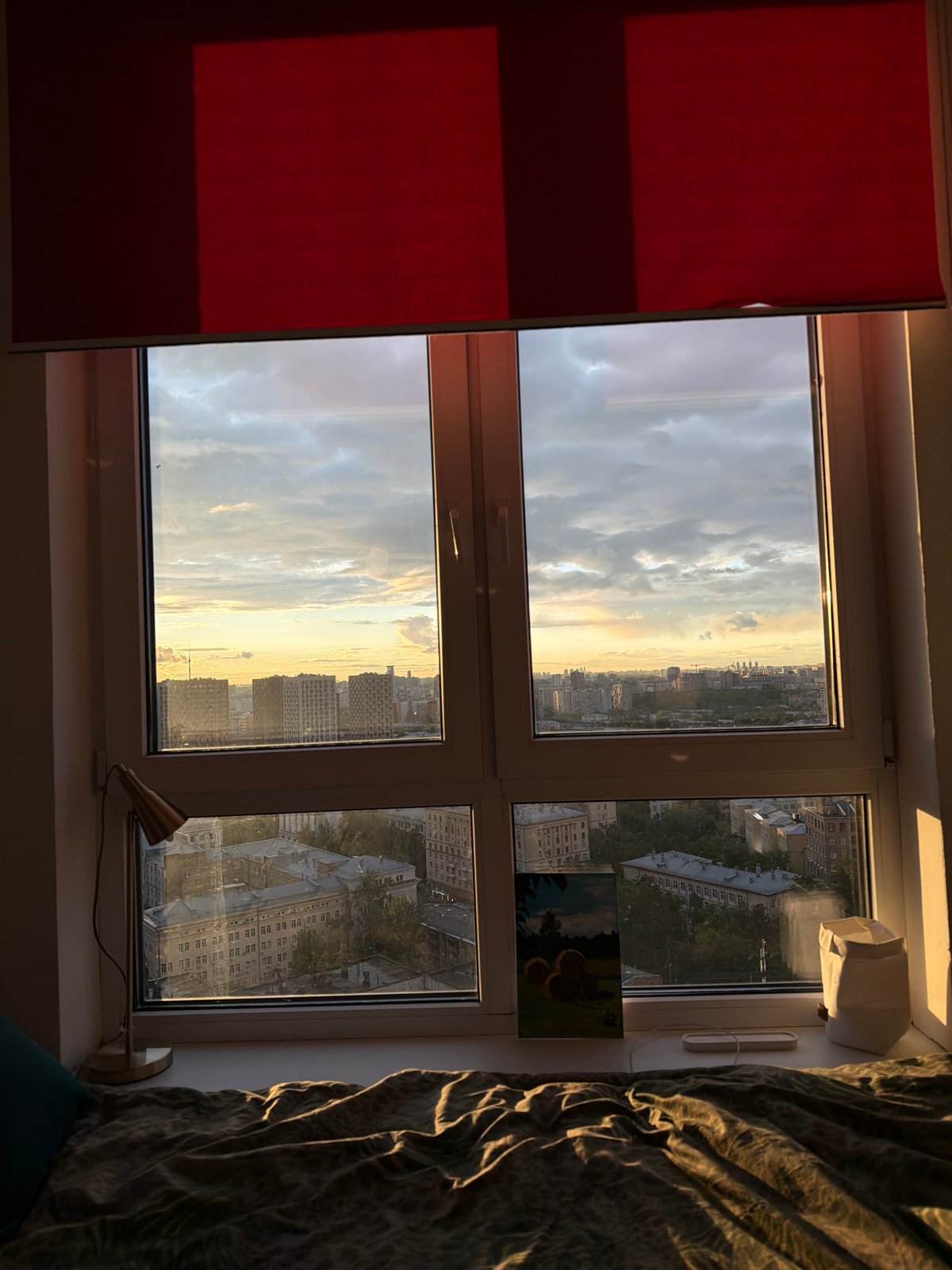 Sunlit apartment interior with city view and Siamese cat