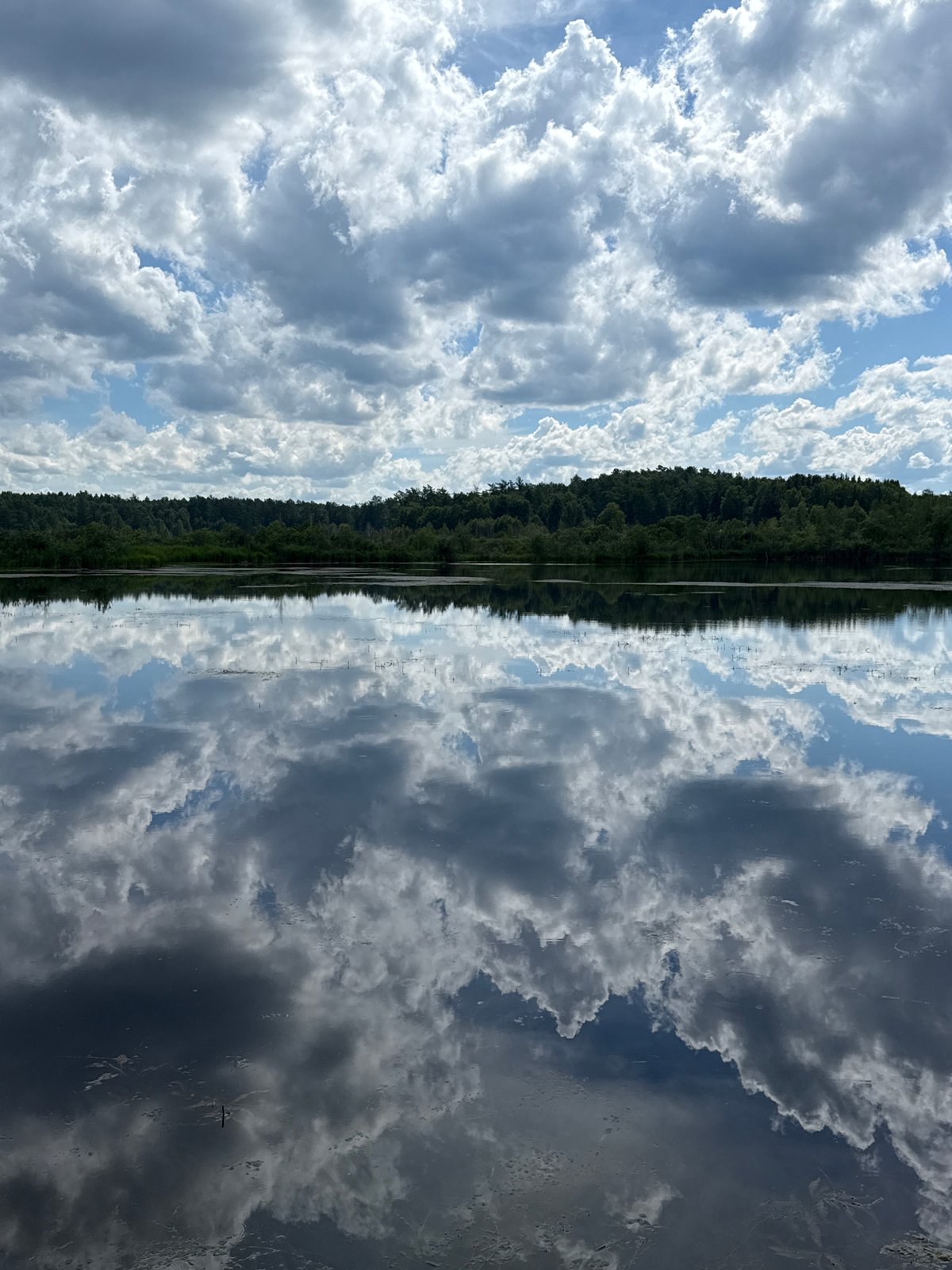Construction work and riverside nature near Leninsk, Russia