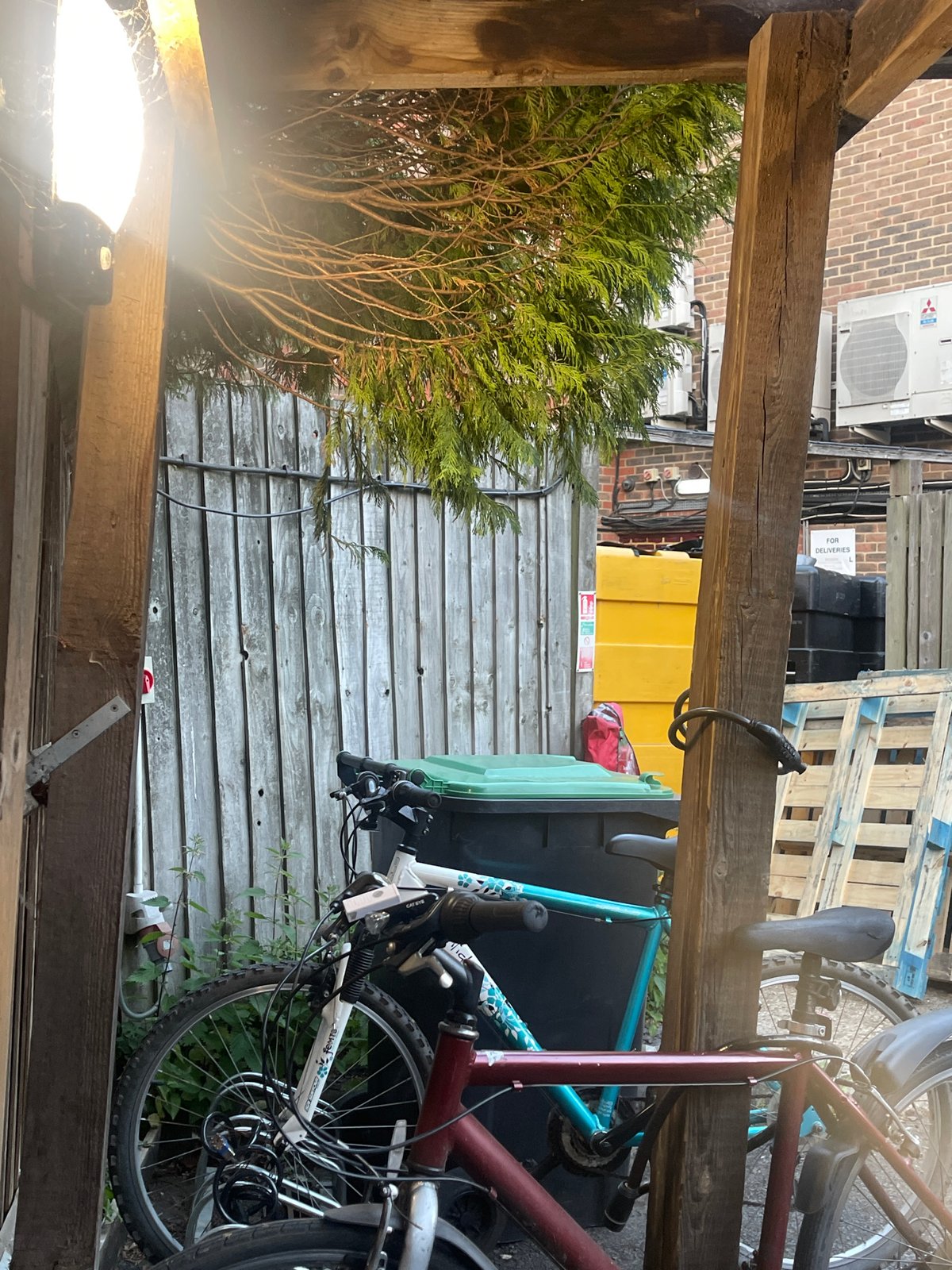 Outdoor scenes captured in Maidstone backyard area