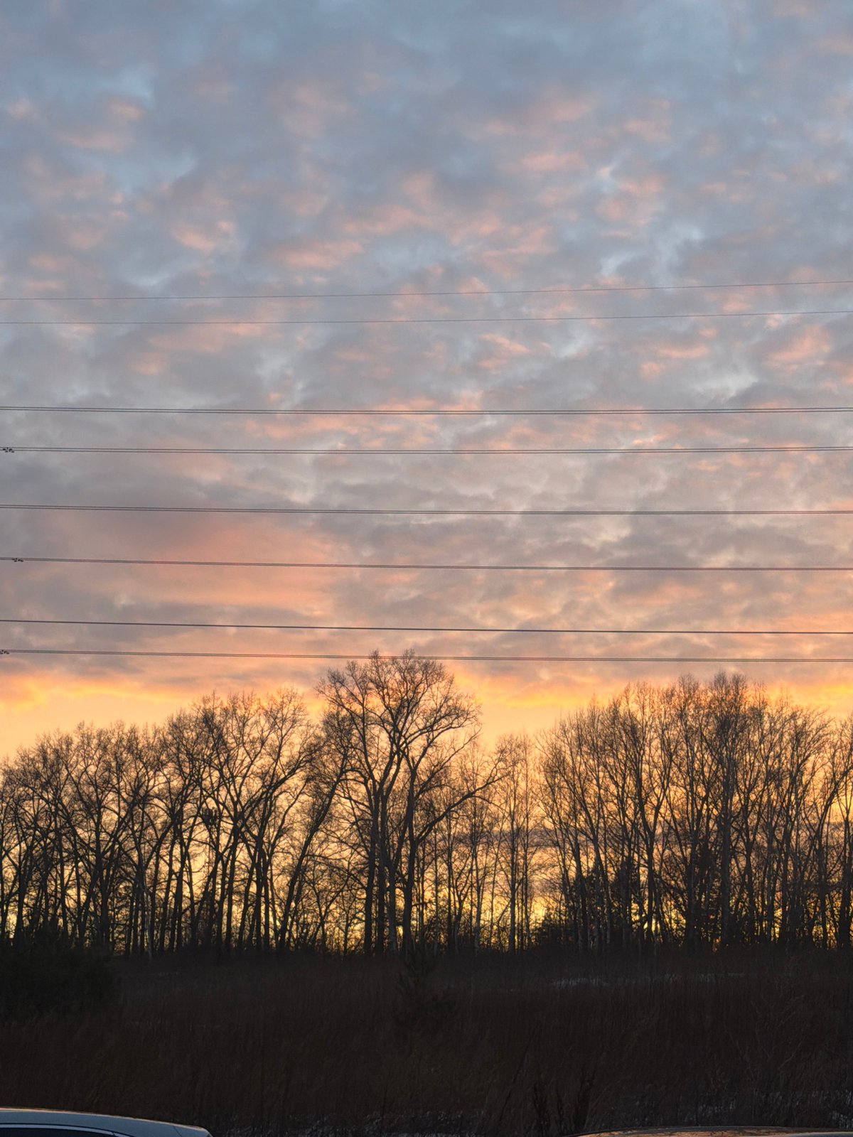 Sunset landscape with bare trees captured in Krasnoyarsk