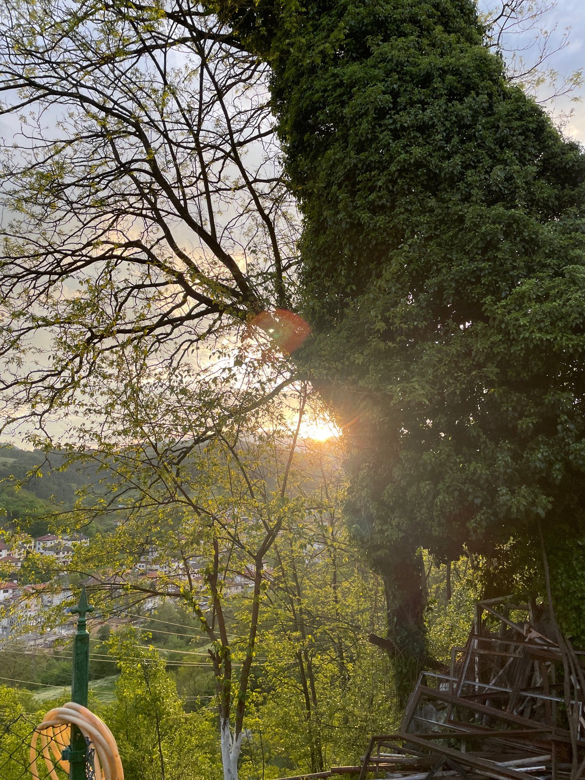 Sunset scenes and dog spotted in Zlatograd, Bulgaria