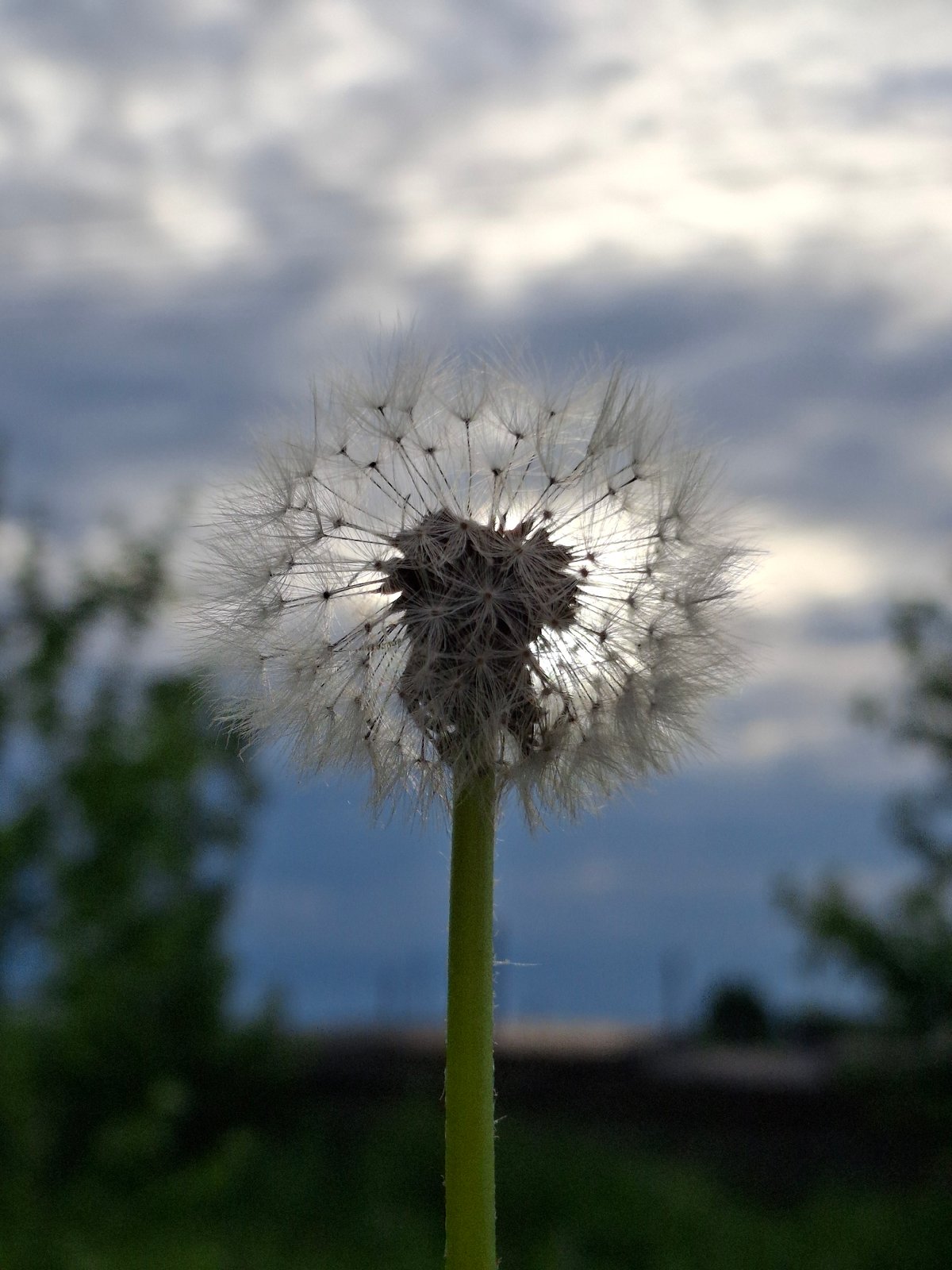 Lazy summer afternoon in Chaikovsky — nature, food, and fresh air