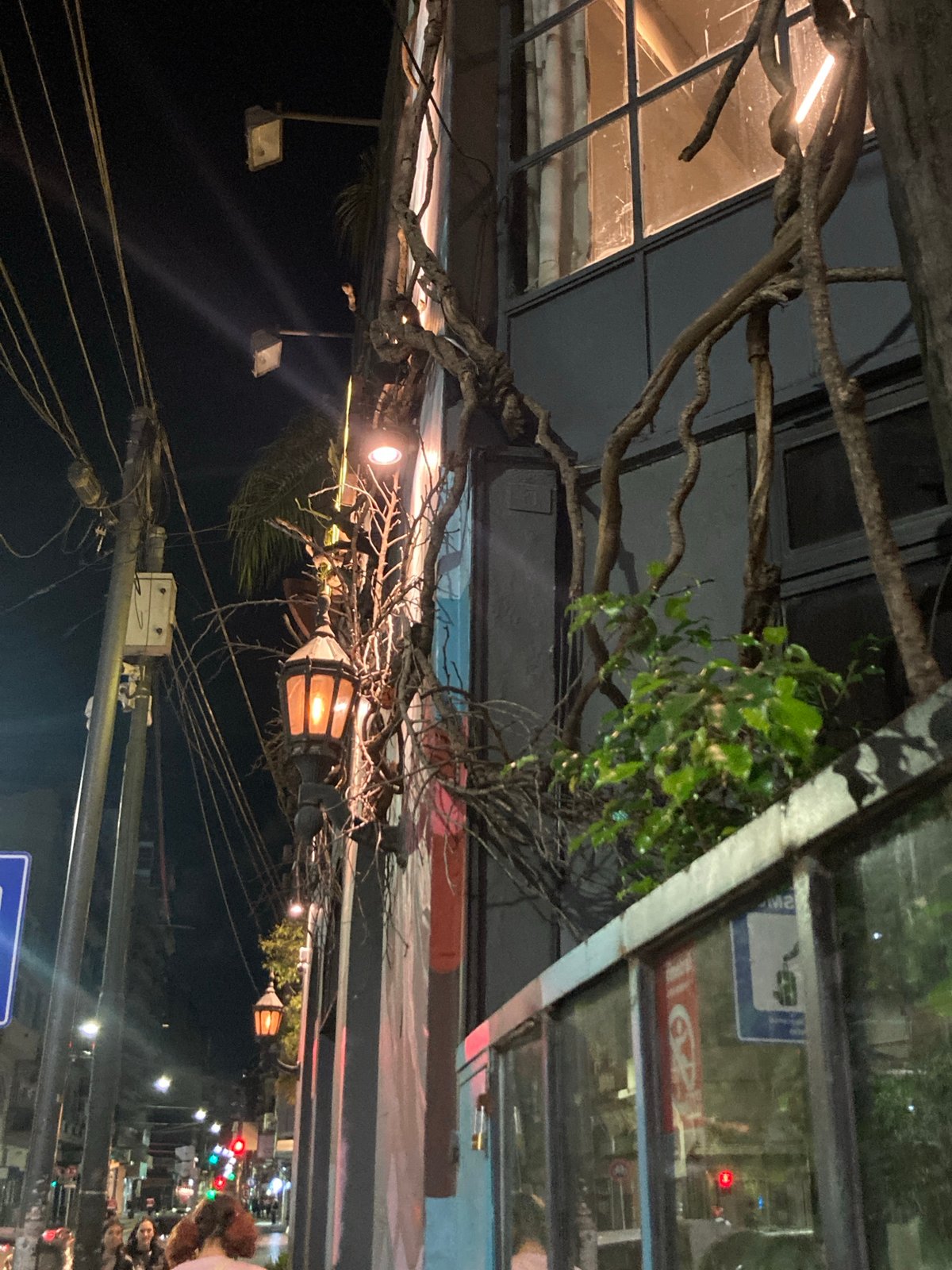Nighttime urban documentation captures murals, architecture, street scenes