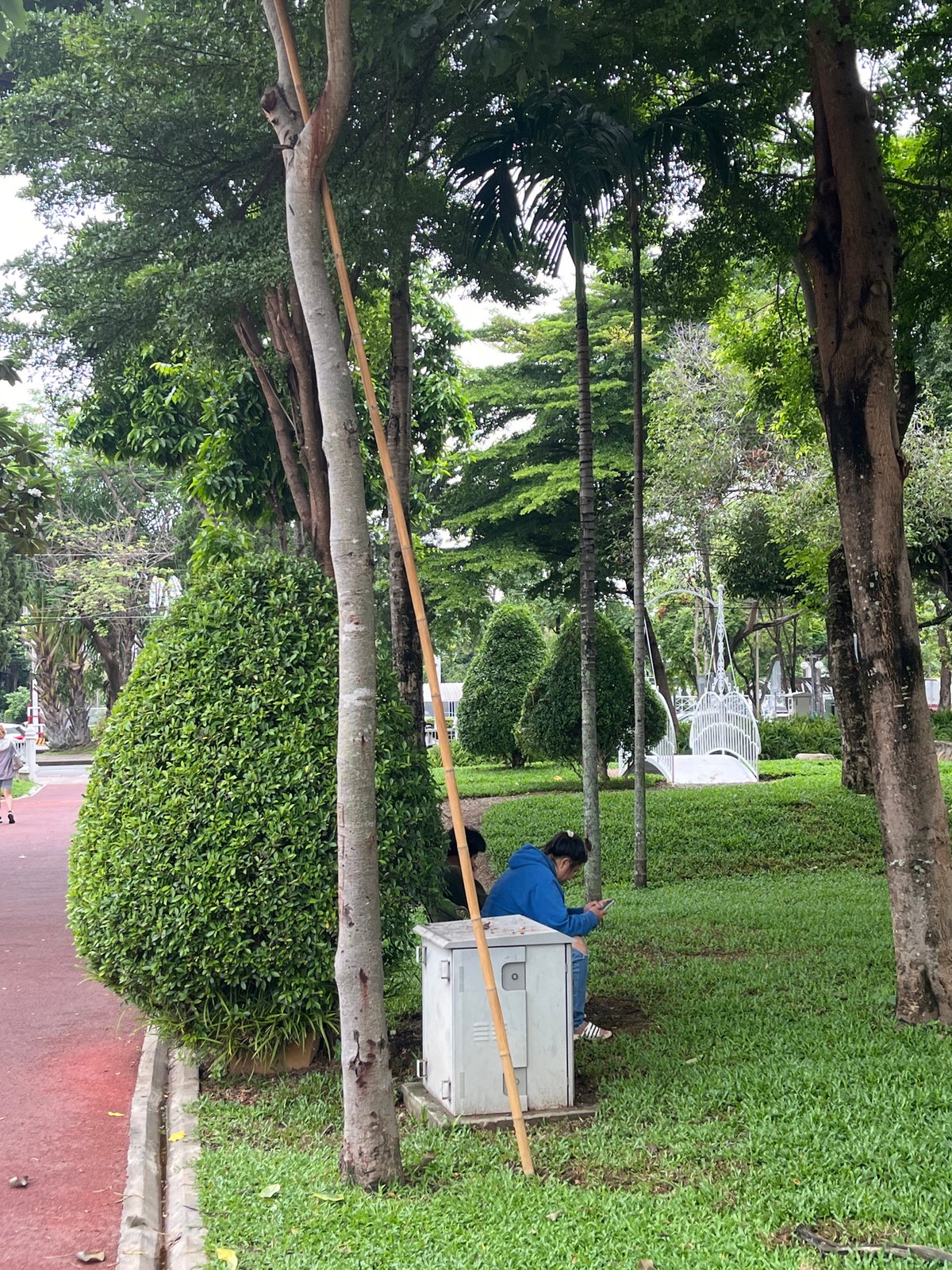 Chiang Mai park buzzing with yoga, sports, and casual exercise