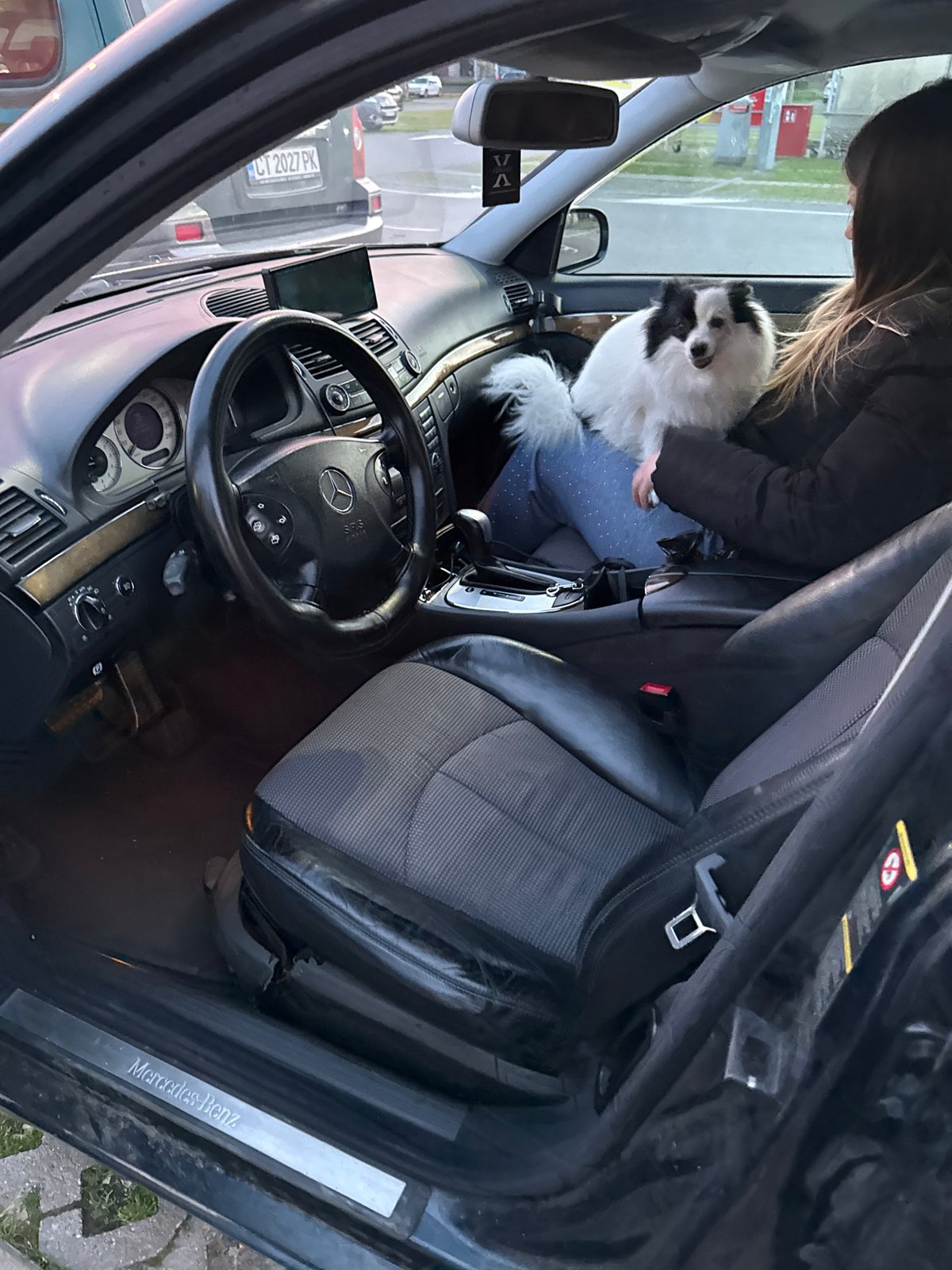 Woman with small dog spotted in Mercedes parking lot