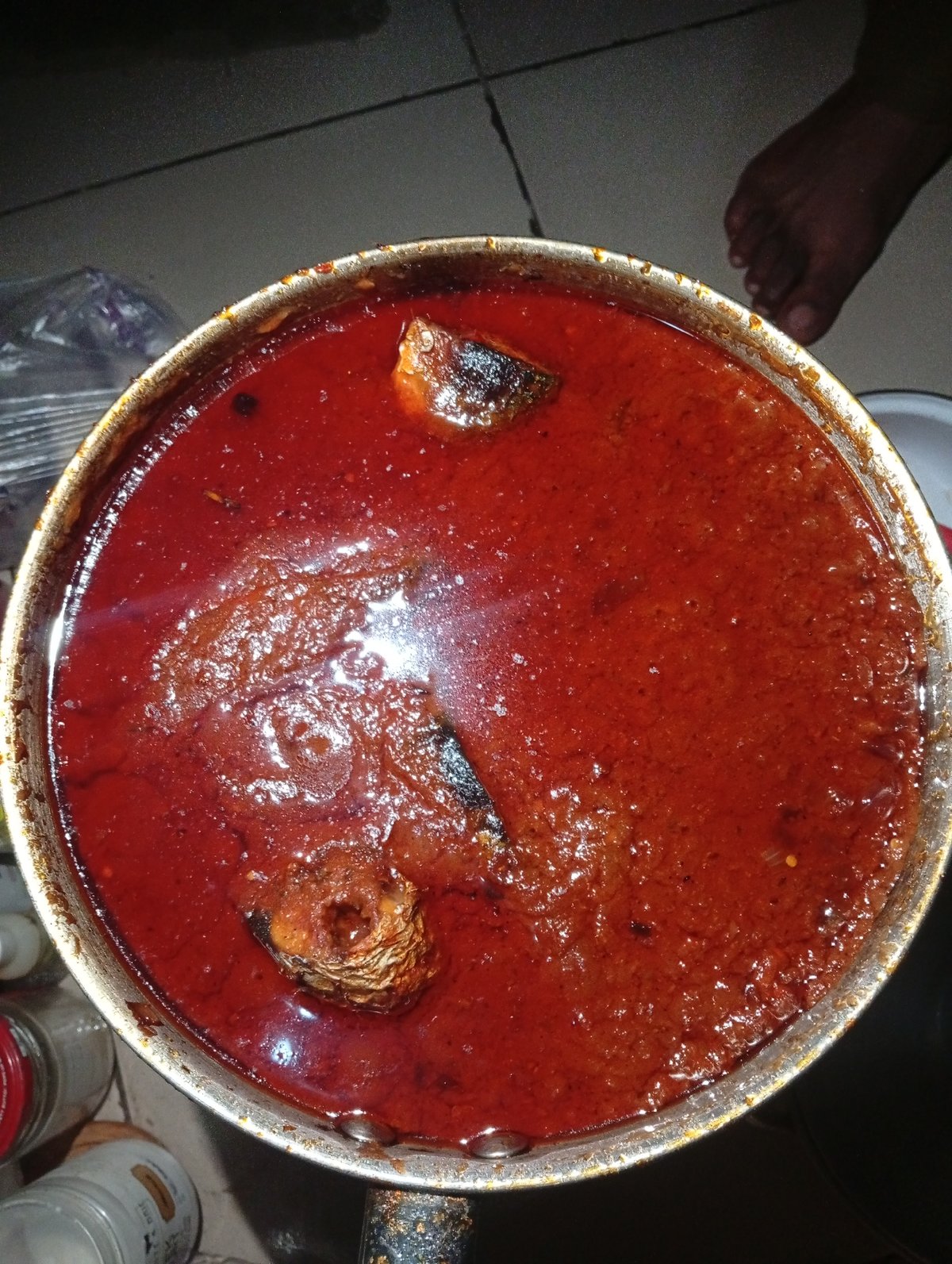 Home cooking documented: red fish stew preparation captured