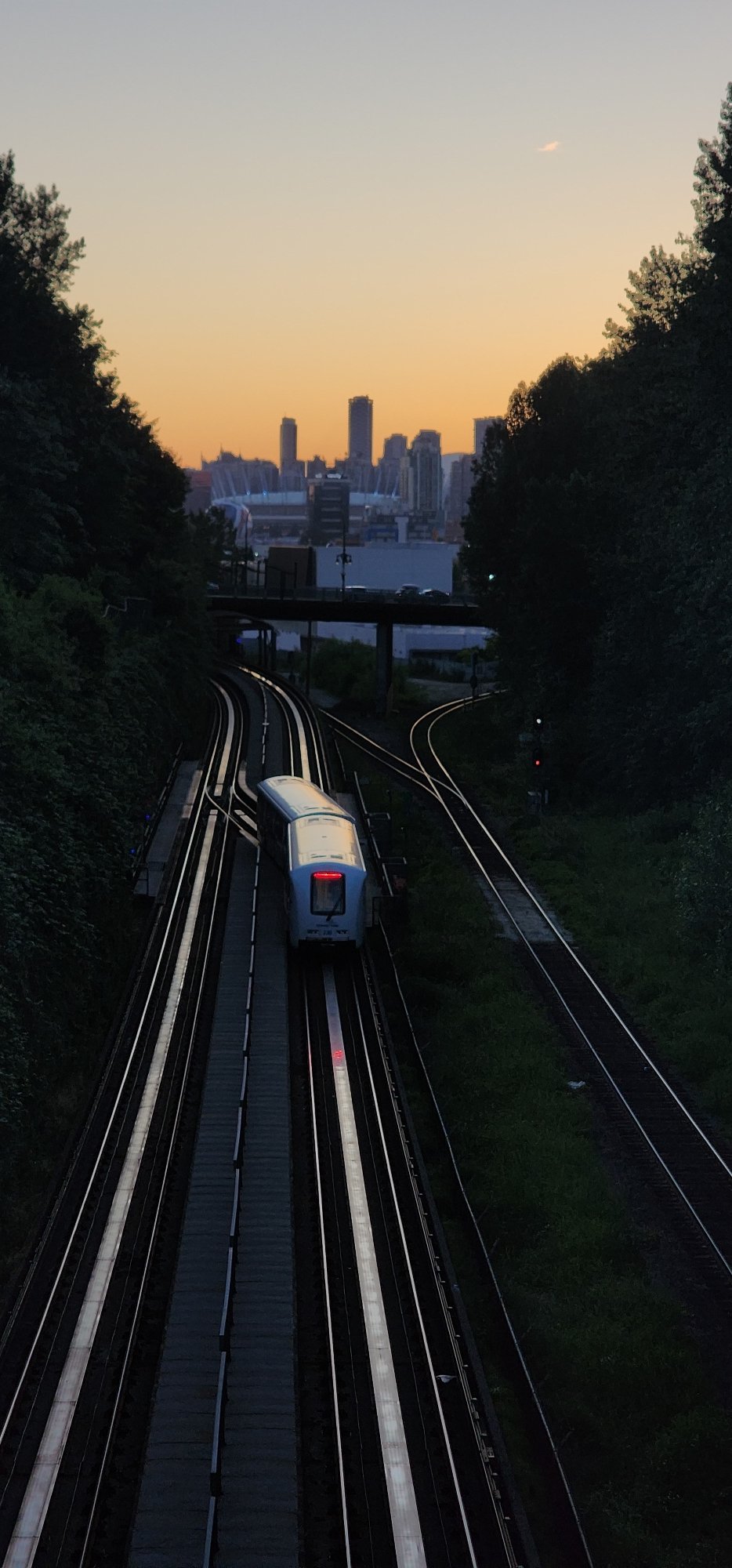 Dusk in the city: trains, parkgoers, and golden-hour insects