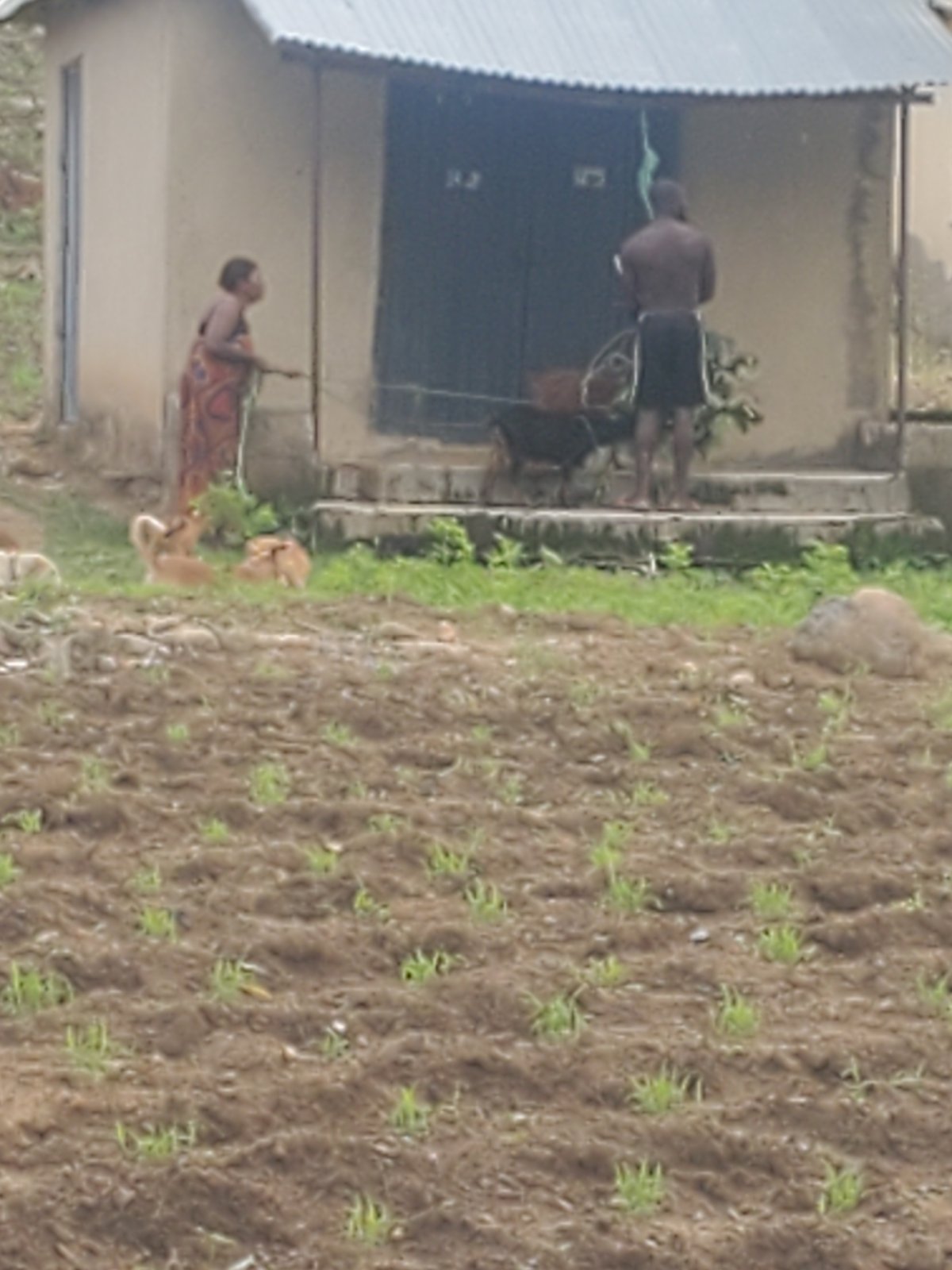 Morning activity around a rural compound in Kabwir, Nigeria