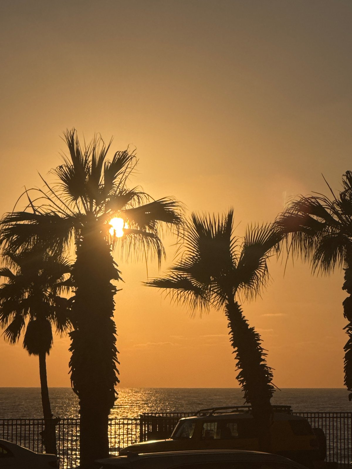 Bat Yam sunset captured from two angles, palm silhouettes and city glow