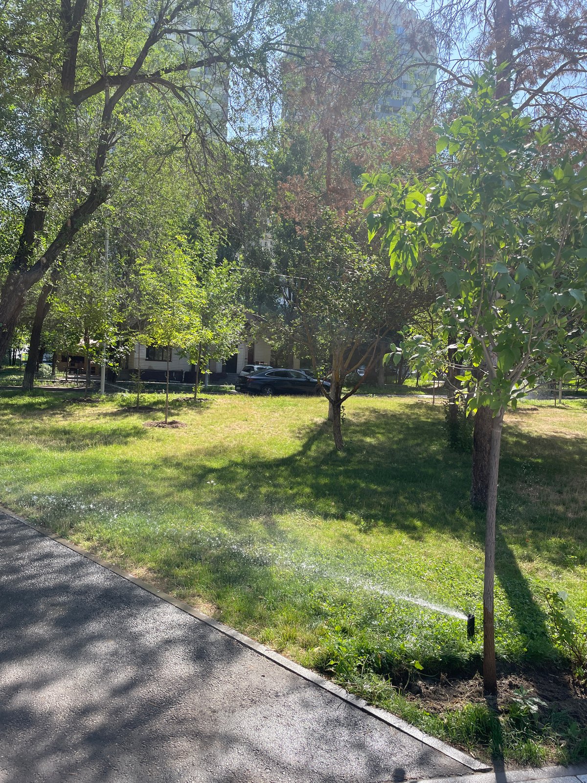 Summer morning across Almaty's parks, plazas, and lakeside paths