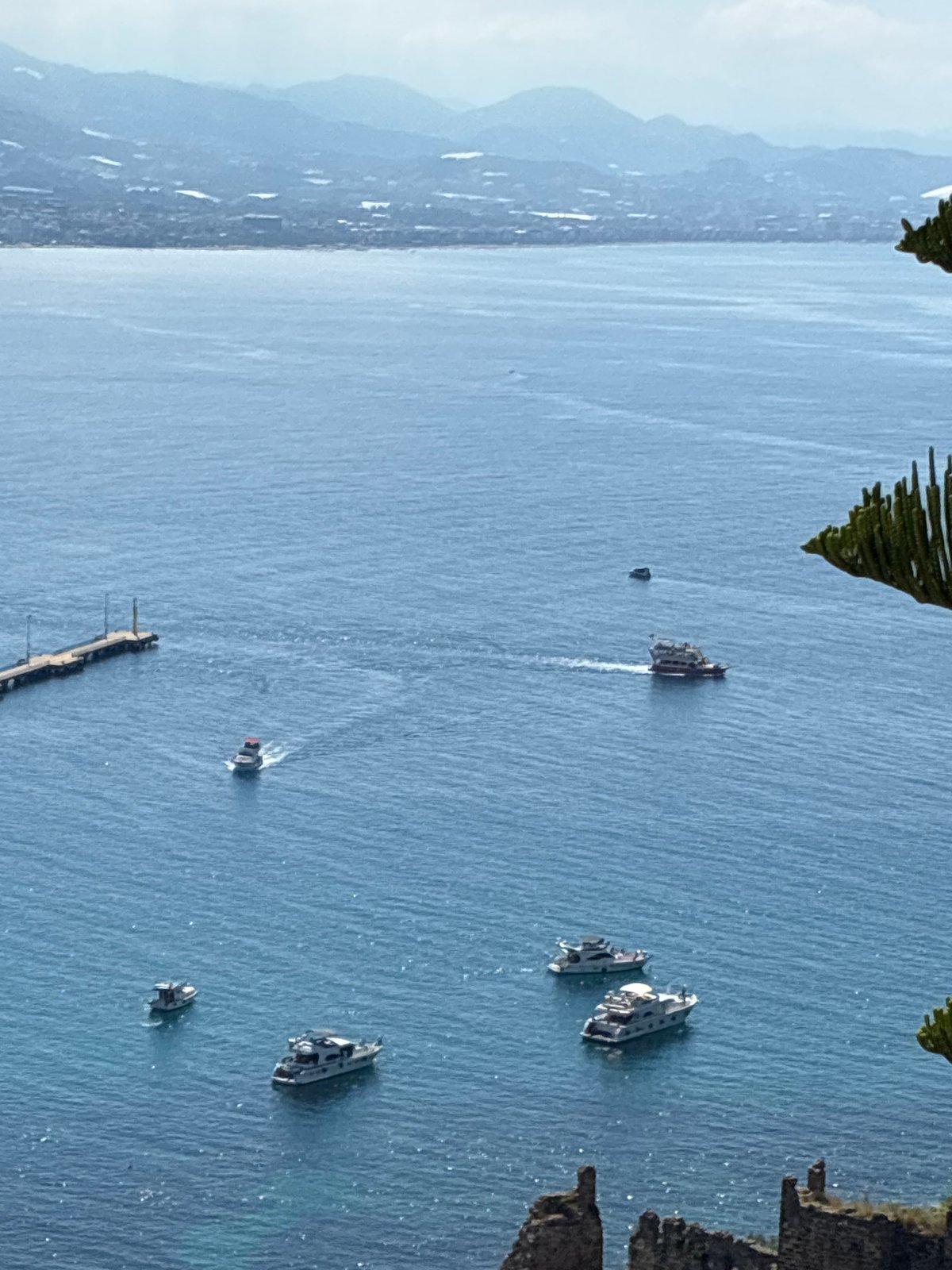 Morning documentation of Alanya coastline and Mediterranean flora