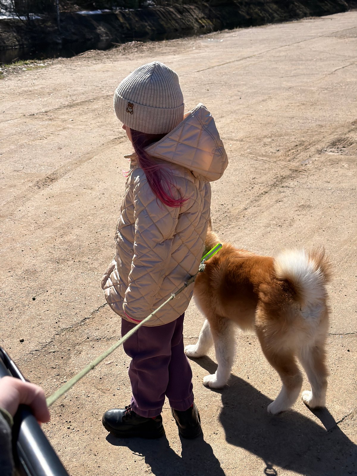 Child walks dog on morning stroll in Noviy, Russia