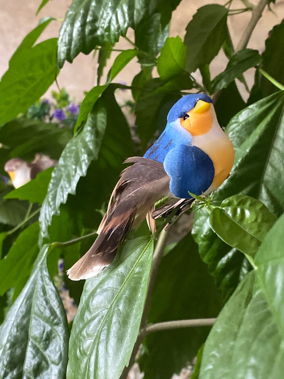 Person documents decorative birds and wooden figures in Novokuznetsk