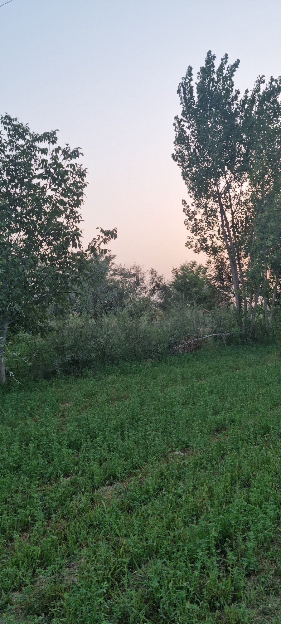Early morning across farmland and fields near Ҷомӣ, Tajikistan