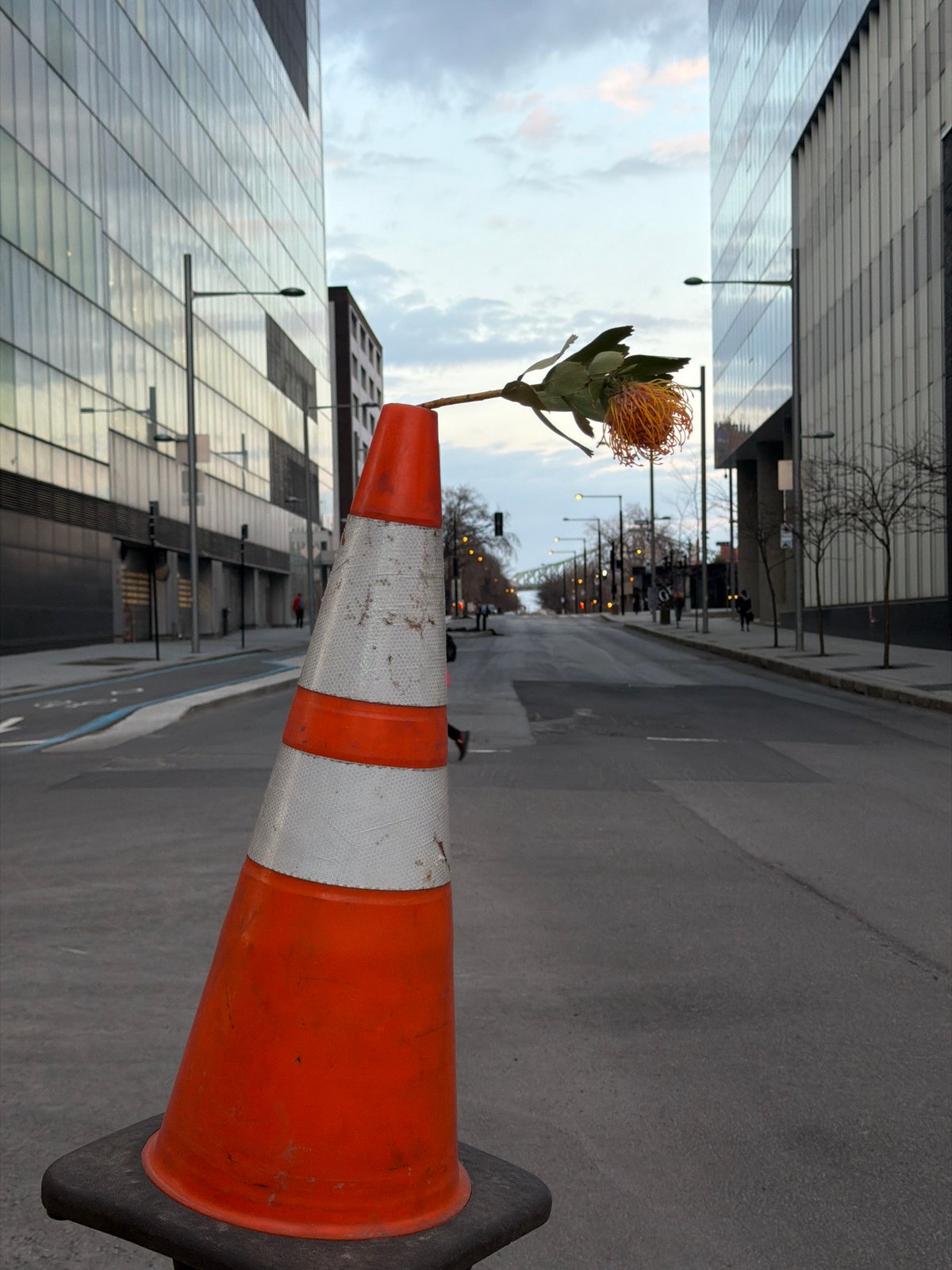 Evening street life documented across Montreal neighborhoods