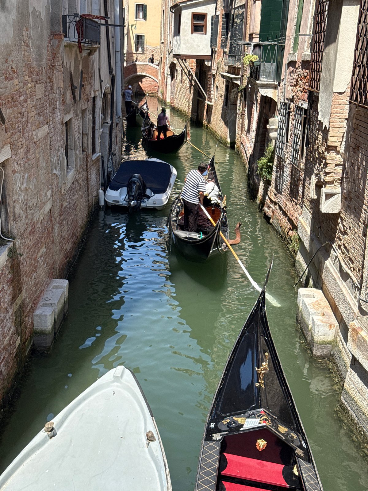 A sunny morning on the gondola-filled canals of Venice