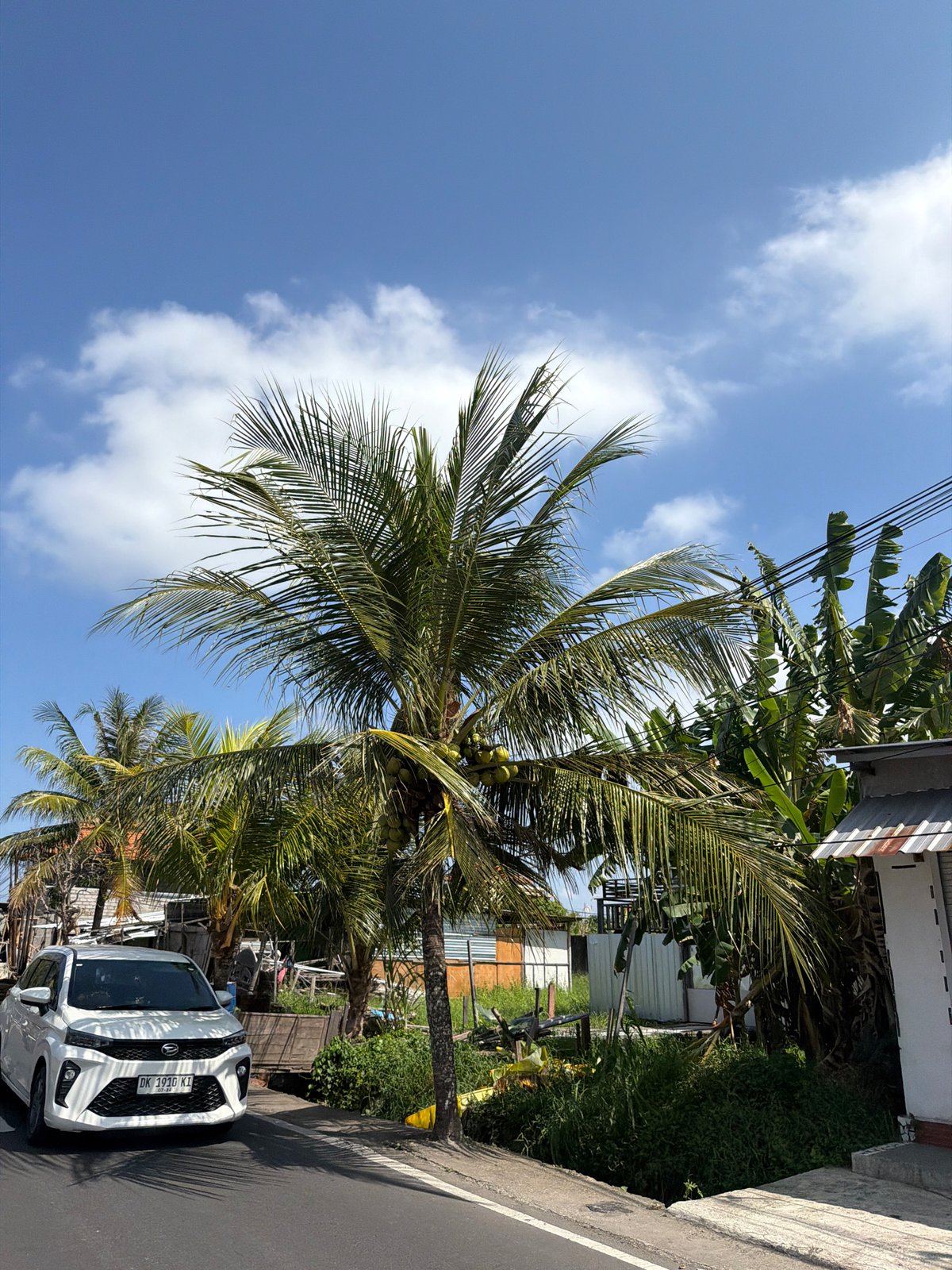 Roadside stop amid rice paddies and palms in Blahbatuh
