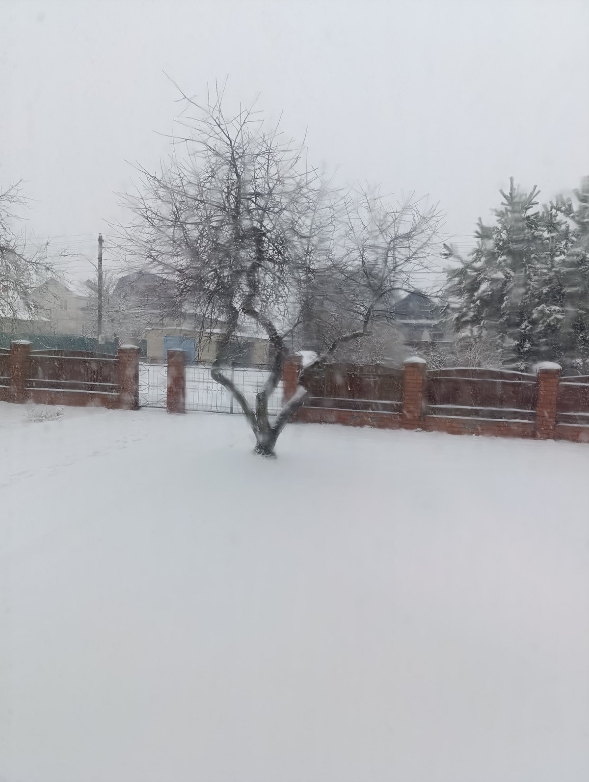 Early morning domestic moments captured during winter weather