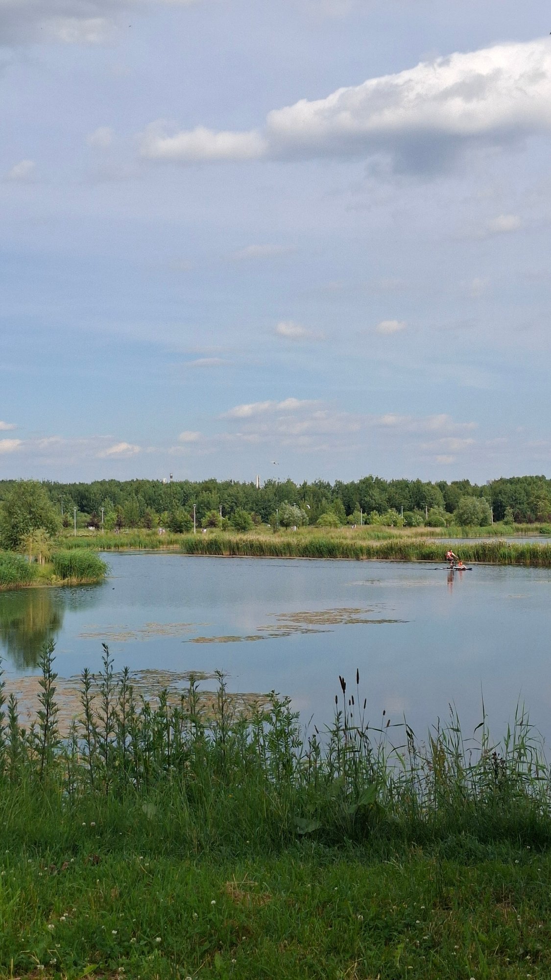 Lazy summer afternoon at a Saint Petersburg lakeside park