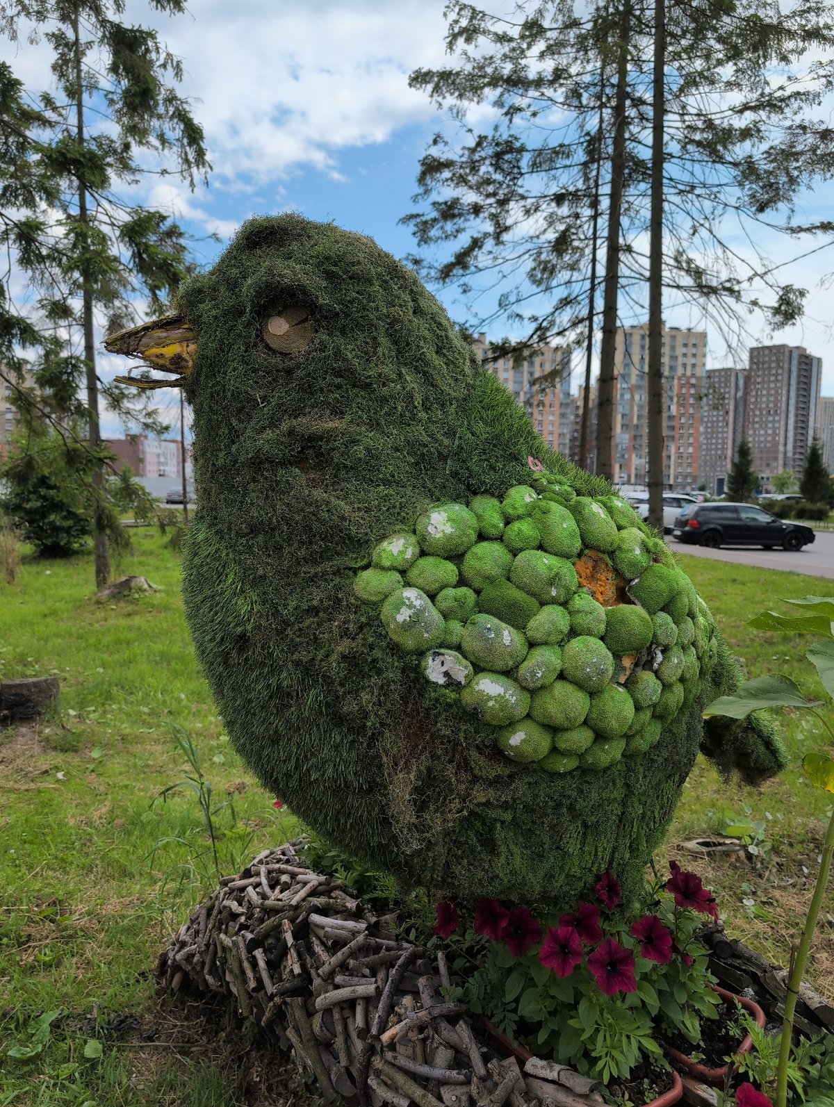Summer morning in a Saint Petersburg neighborhood park