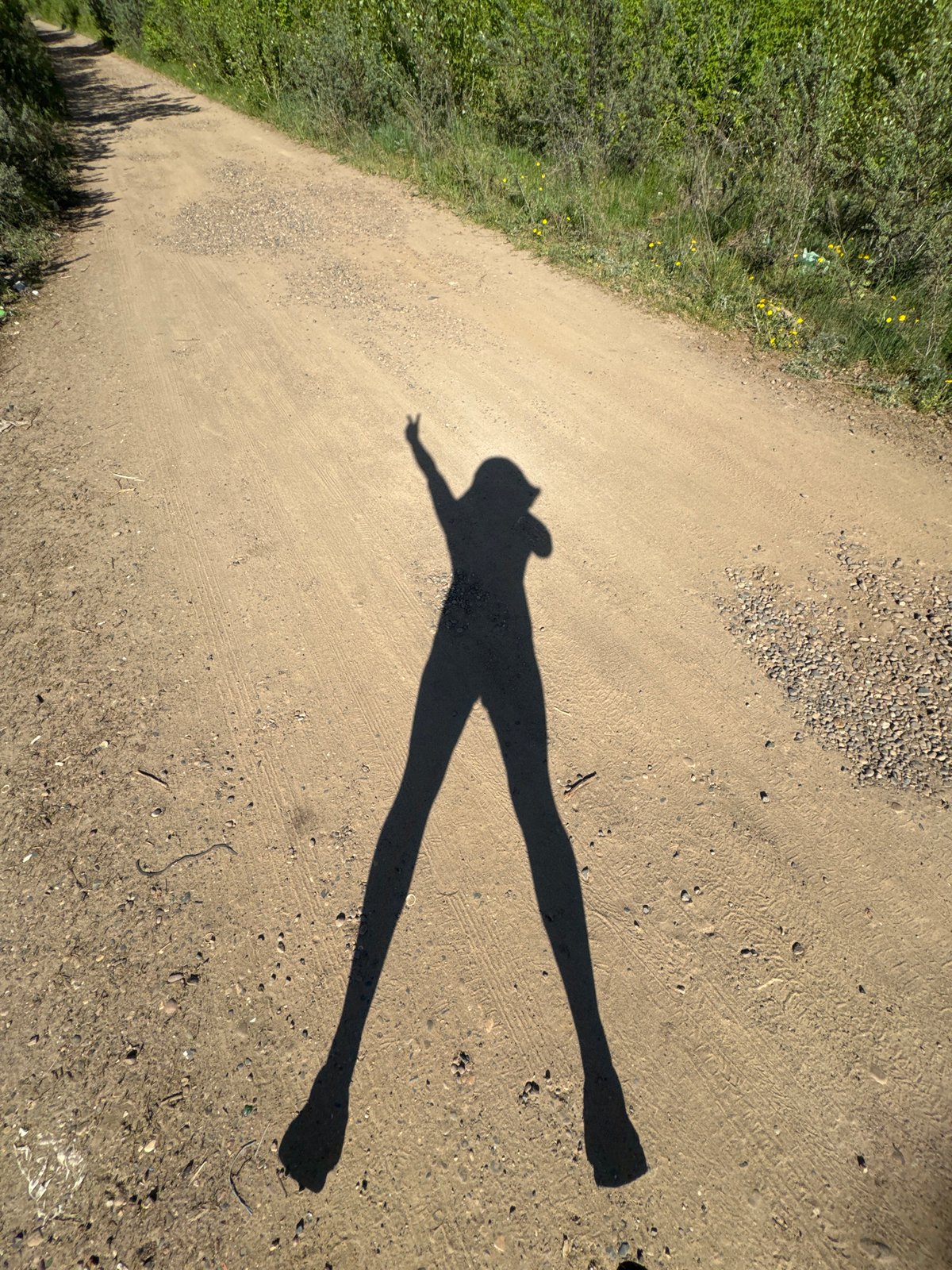 Shadow cast on rural path in Chaikovsky, Russia