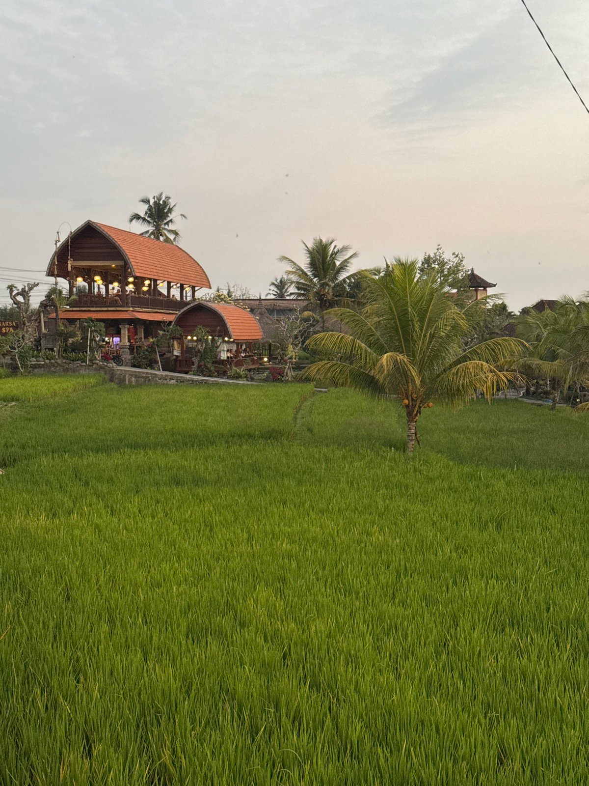 Tegallalang rice paddy area at dusk, Bali