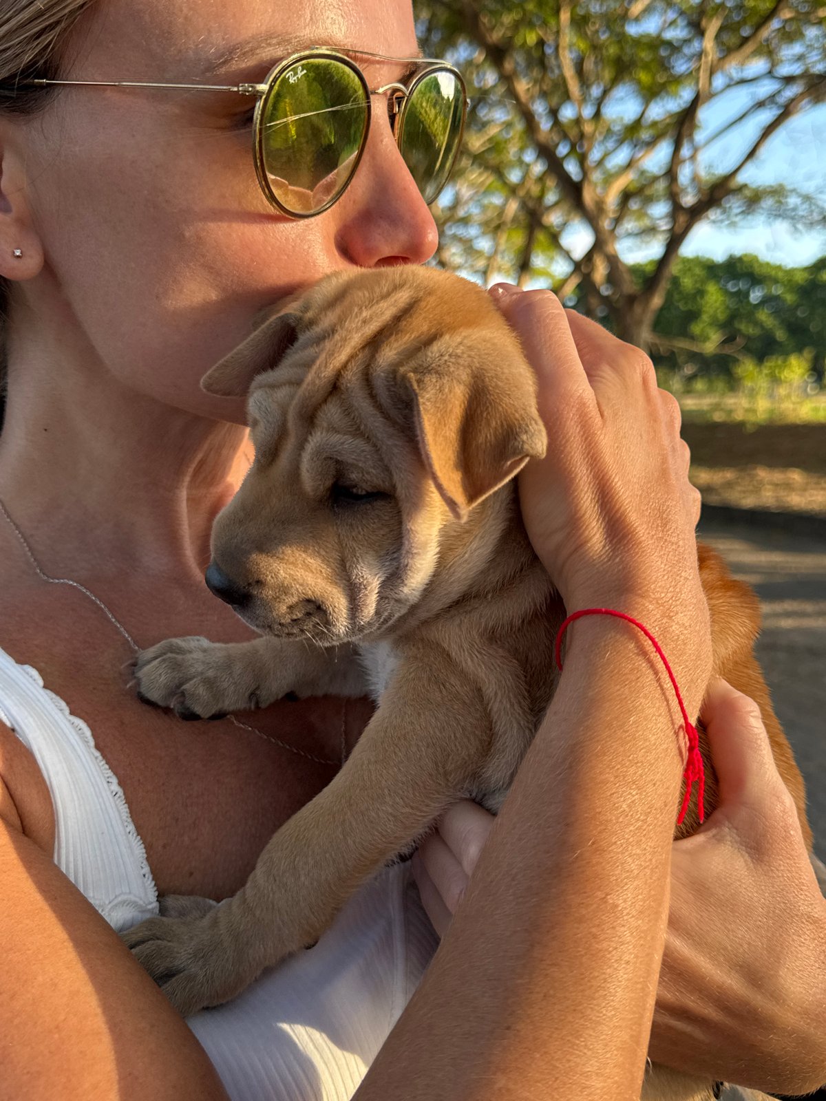 Puppy cuddles and a sunlit trail run in South Kuta