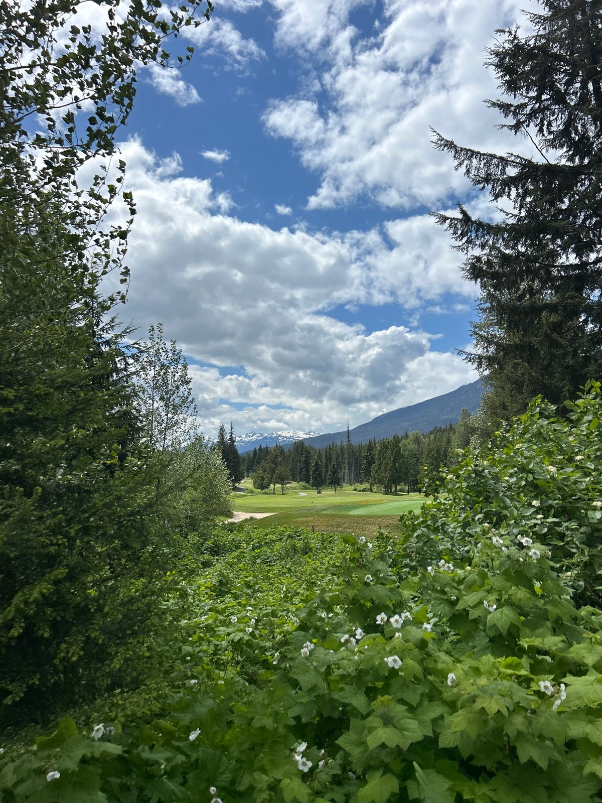 Evening stroll through Whistler golf course and forest paths