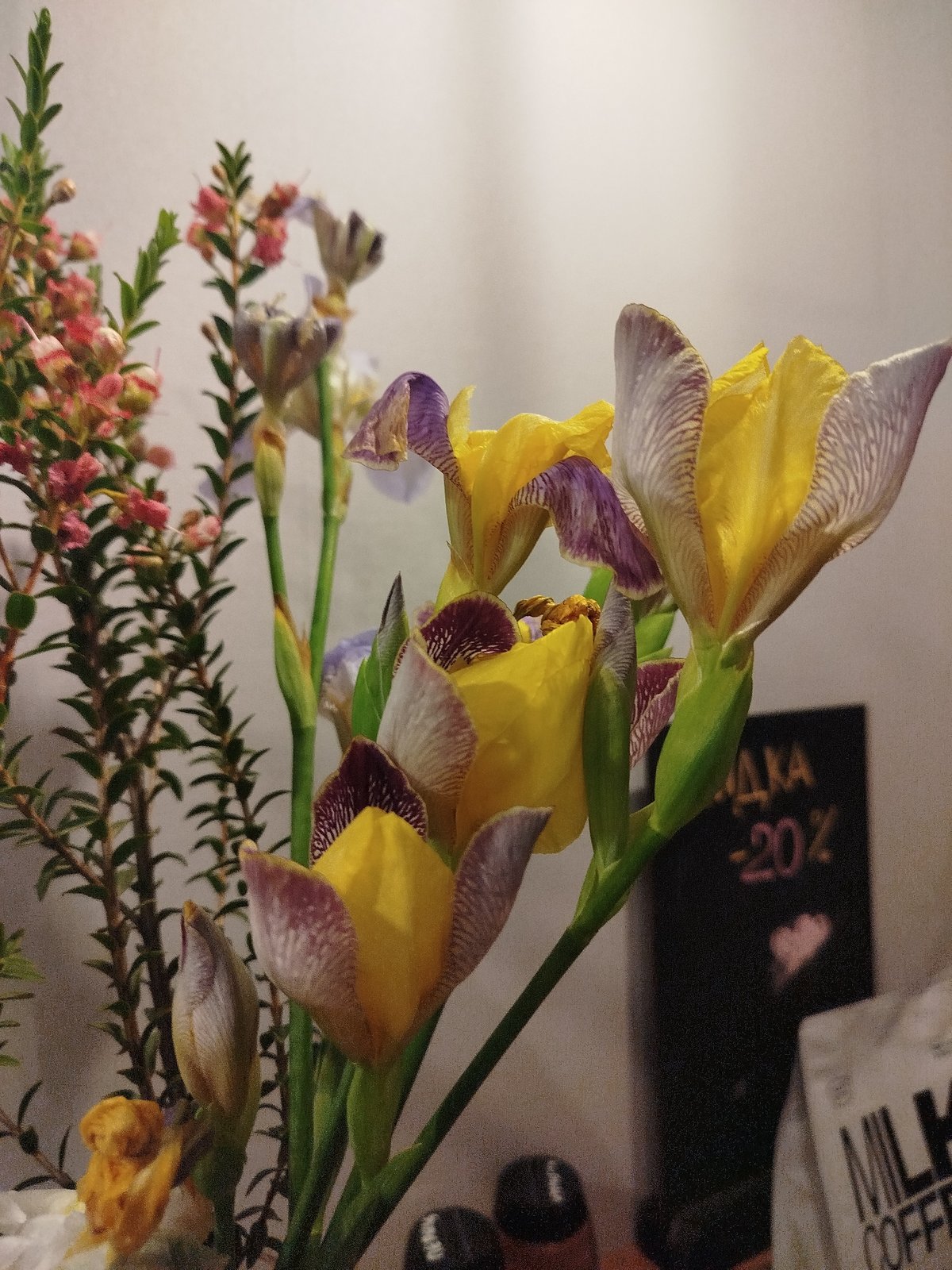 Early morning documentation captures flowers, boats, and landscapes