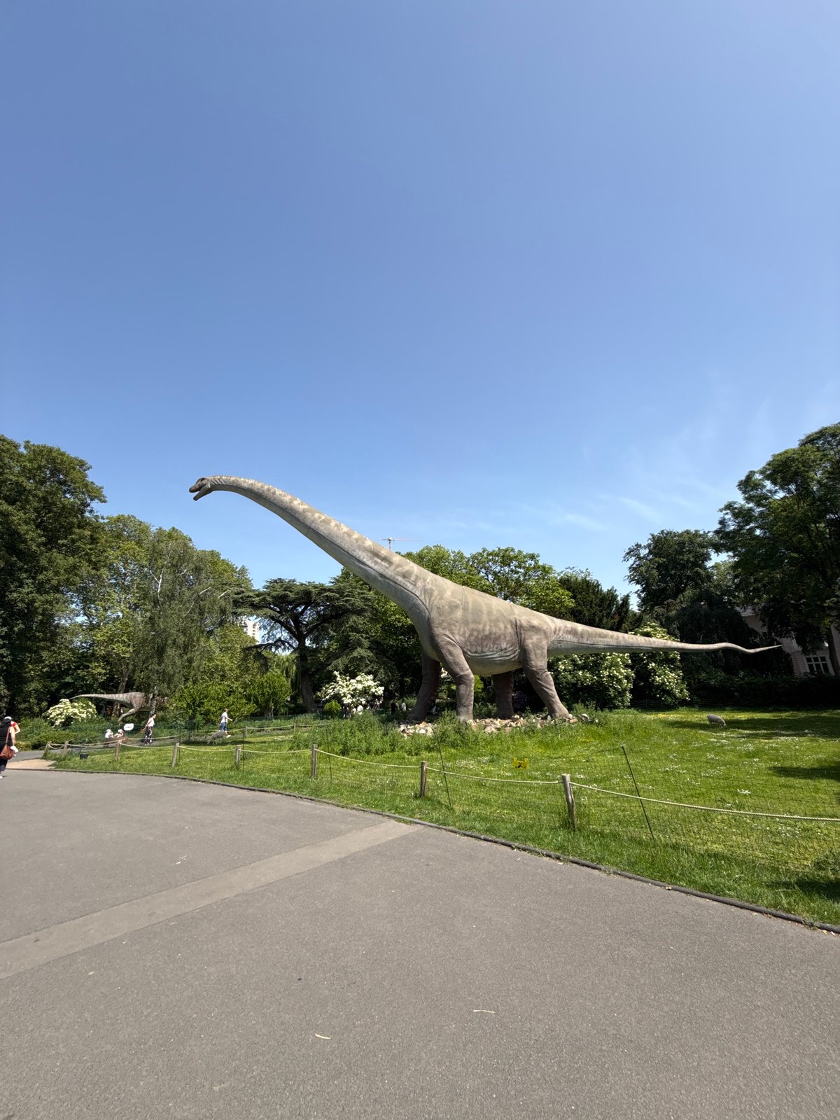 Brachiosaurus statue observed in Cologne park setting