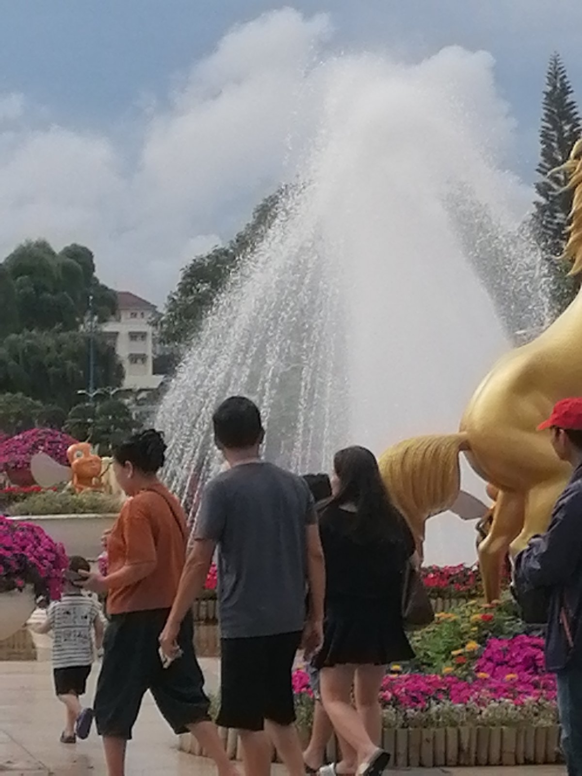 Morning stroll through Đà Lạt's Xuân Hương district captured