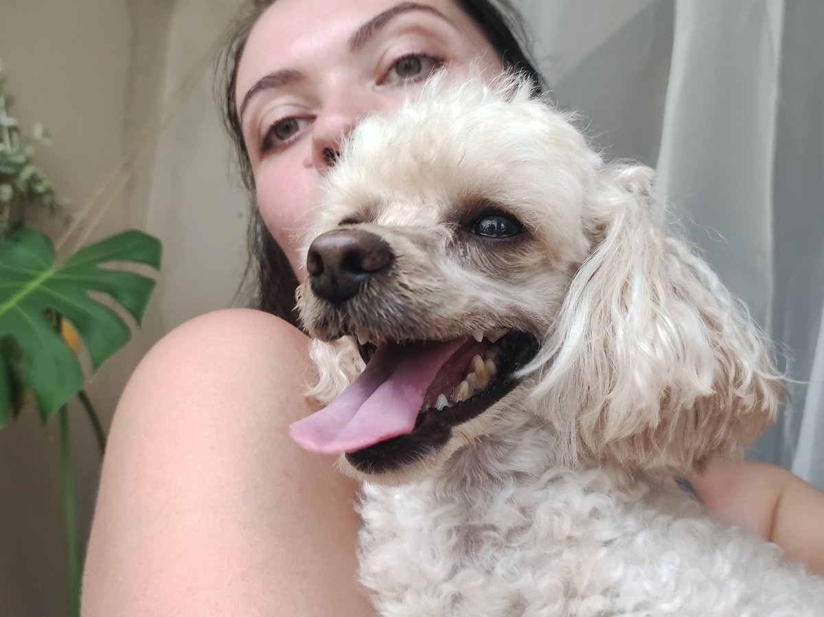 Afternoon at home in Chaikovsky: poodle selfies and stormy skies