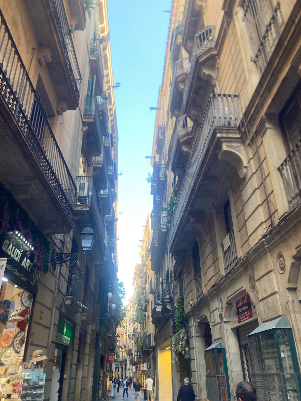 Gothic Quarter streets, cathedral facades, and a Christmas shop in Barcelona