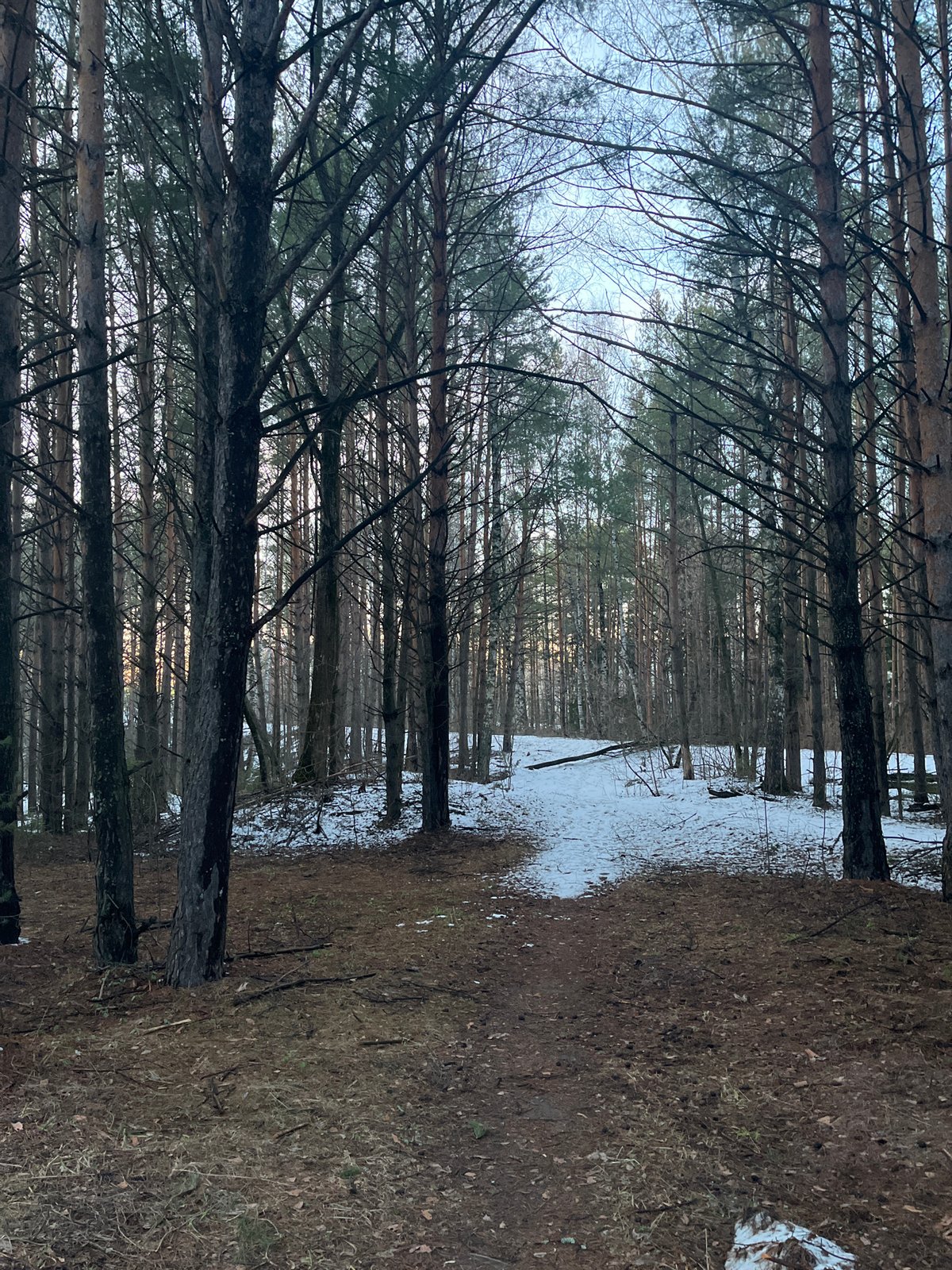 Forest walk documented through snowy trails in Chaikovsky, Russia