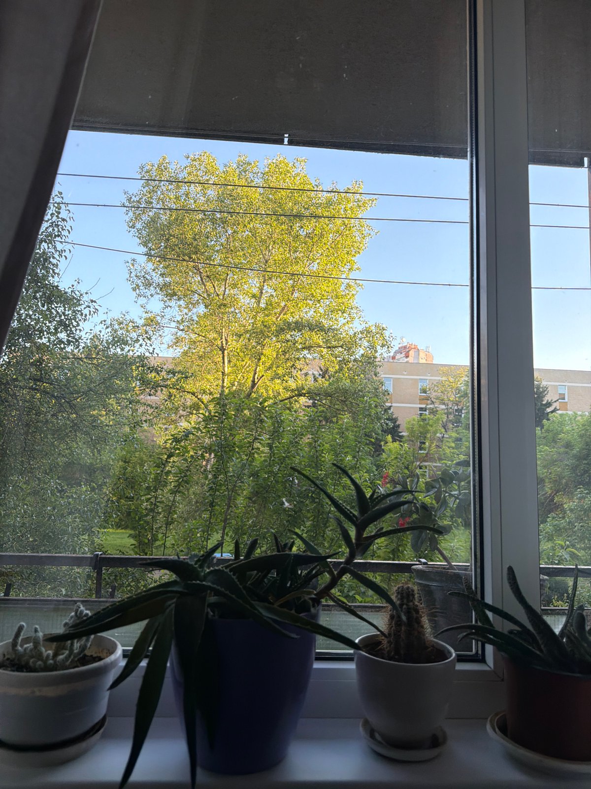 Sunny afternoon window views captured in Sofia, Bulgaria
