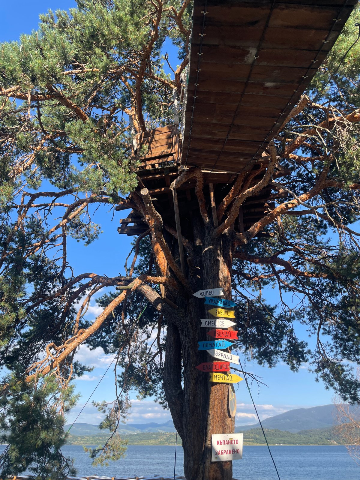 Horses and treehouses at a Bulgarian waterside retreat