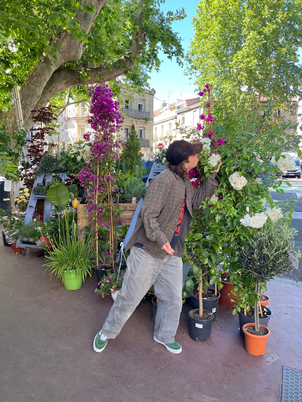 Flower shop activity observed in Montpellier, France