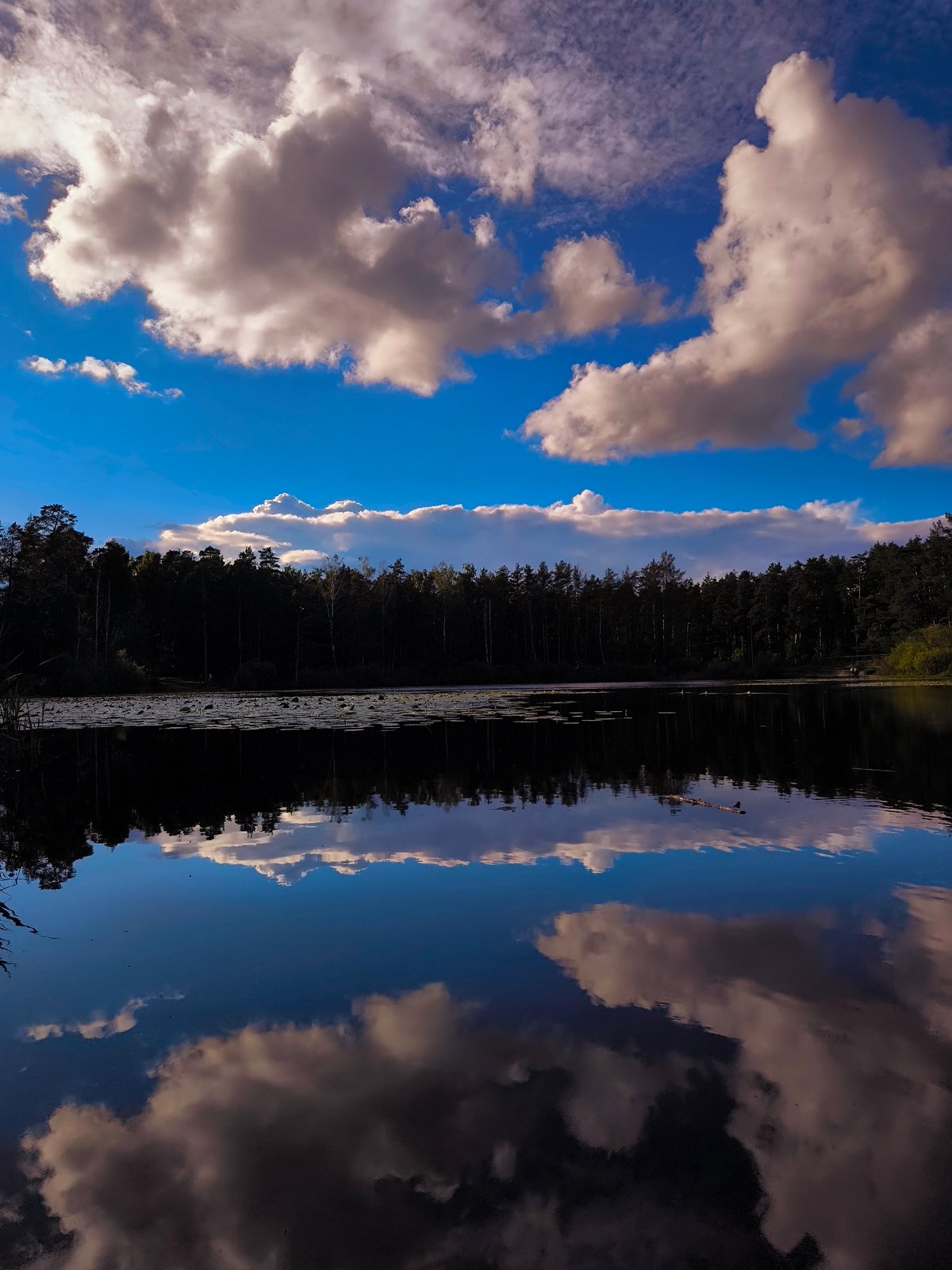 Quiet afternoon at a forested lake on the edge of Riga