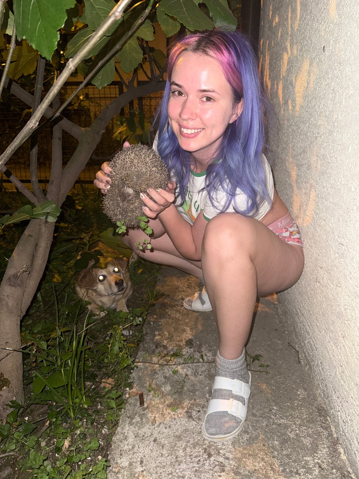 Woman with colorful hair holds hedgehog in Zagreb