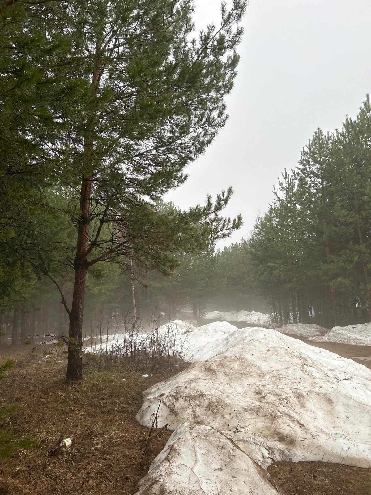 Woman photographs spring outing with off-road vehicle near Chaikovsky