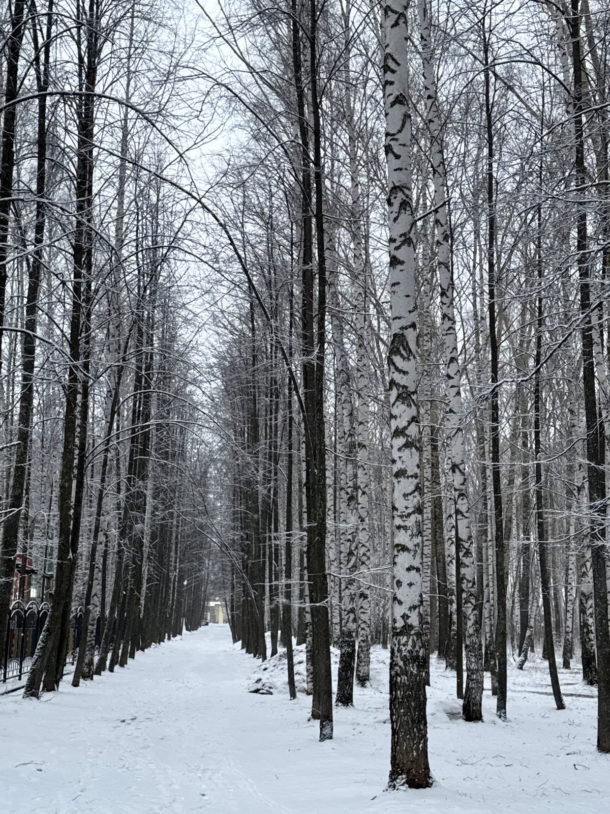 Woman poses for photos in snowy Chaikovsky park