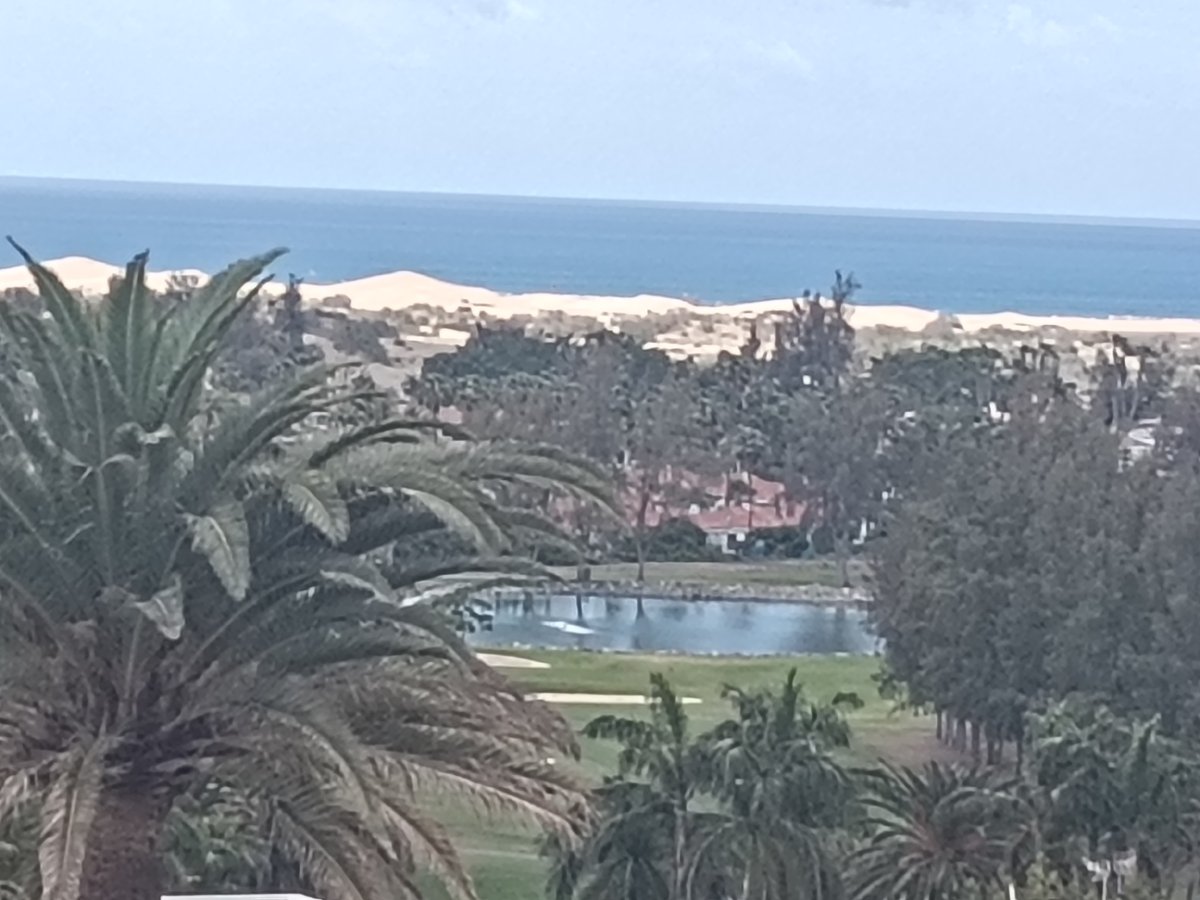 Coastal landscape with dunes documented in Gran Canaria