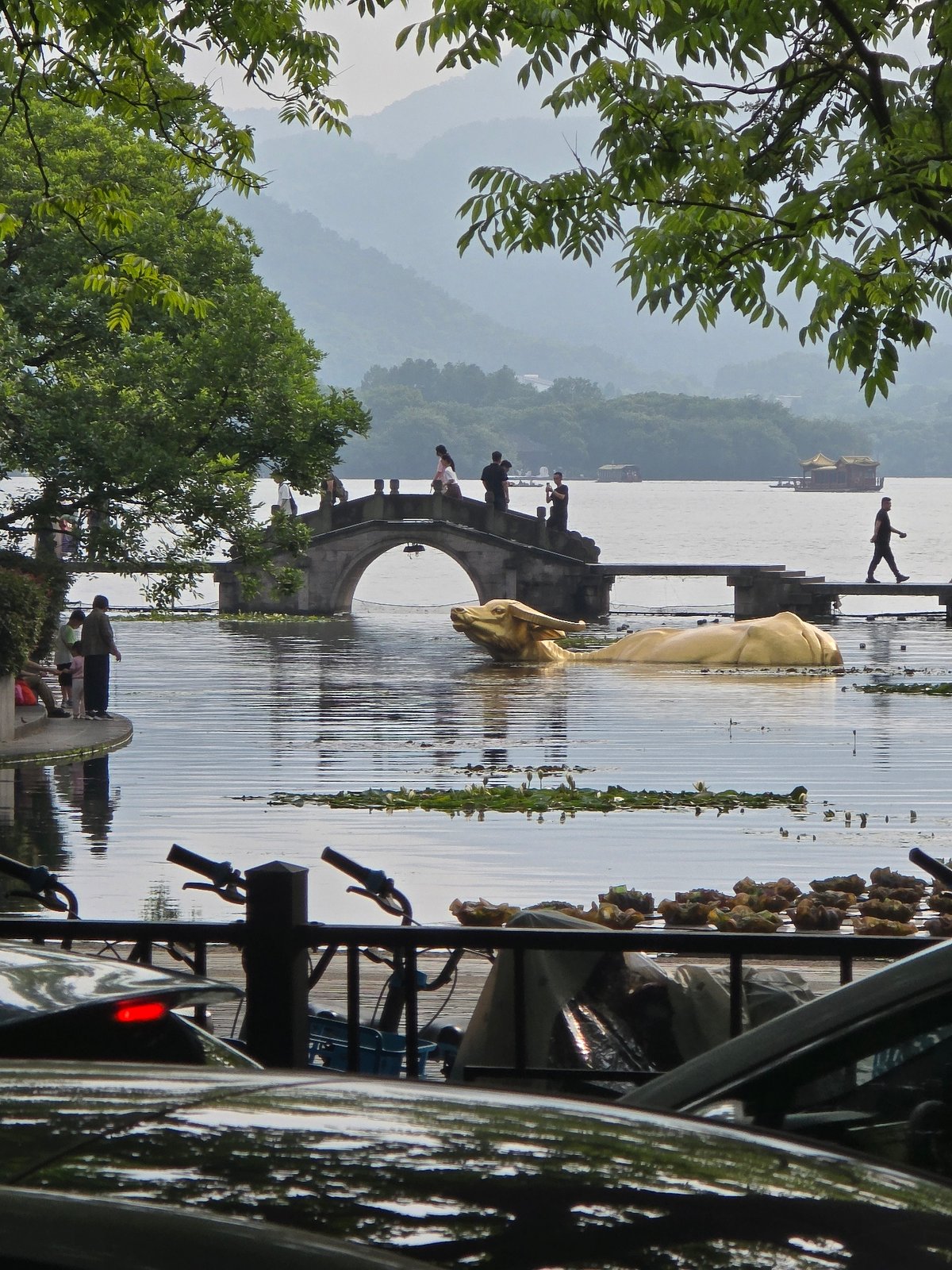 Misty lakeside morning captured in Hangzhou's Shangcheng District