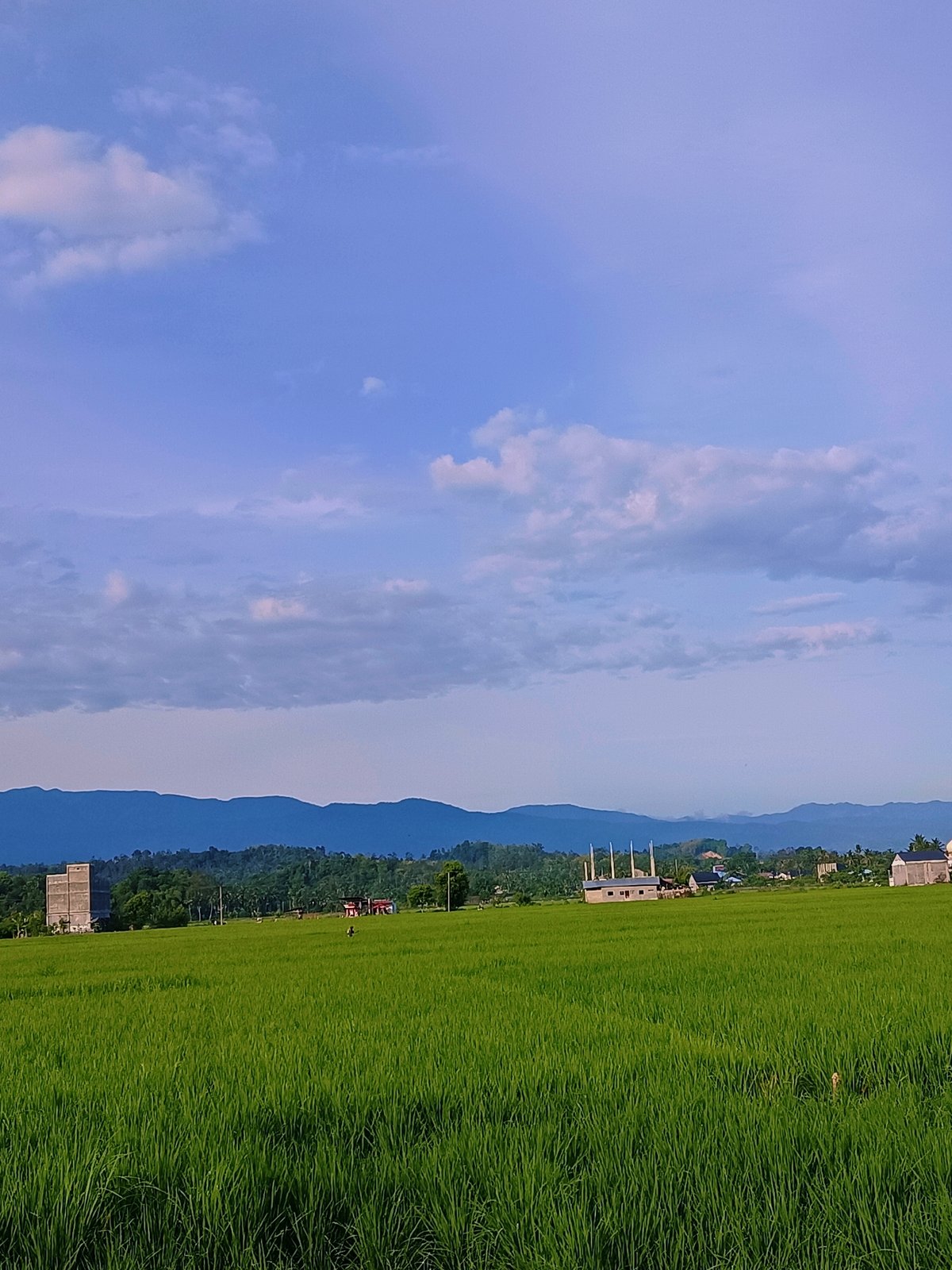 Rice paddies and mountain backdrop in rural Aceh, Indonesia