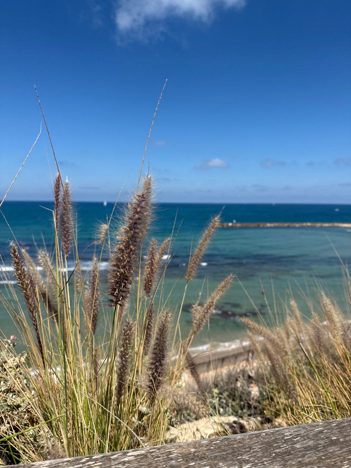 Morning beach activity observed along Tel-Aviv coastline