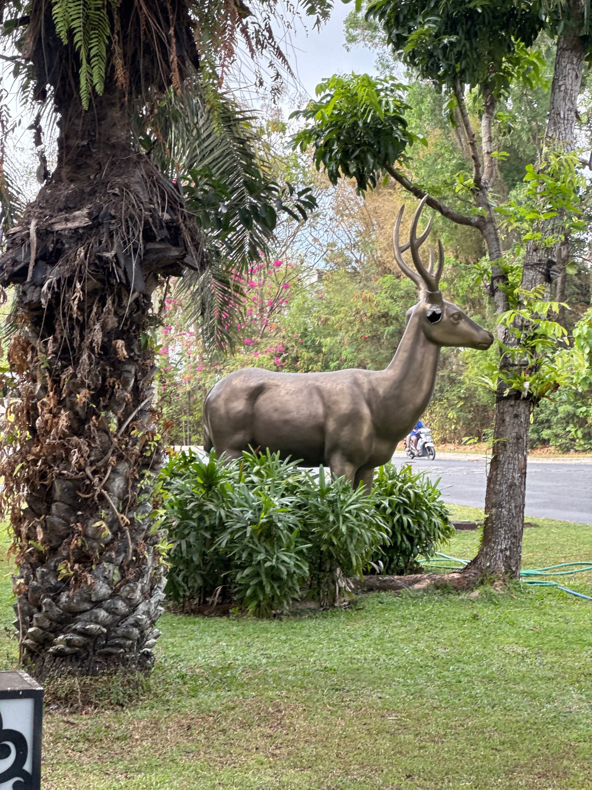 Balinese roadside grounds with sculptures, gates, and street life