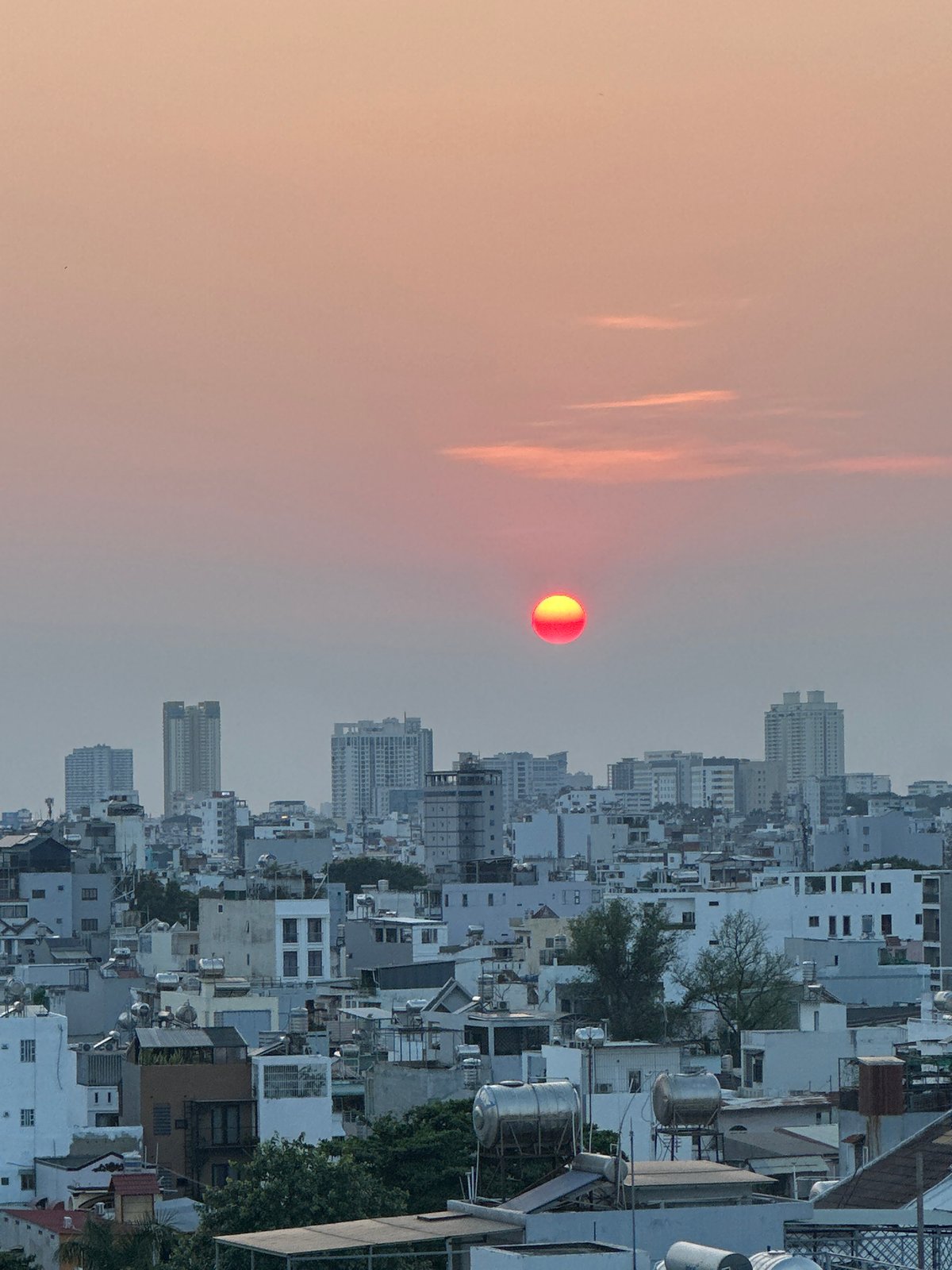 Ho Chi Minh City sunset and pink flowers captured