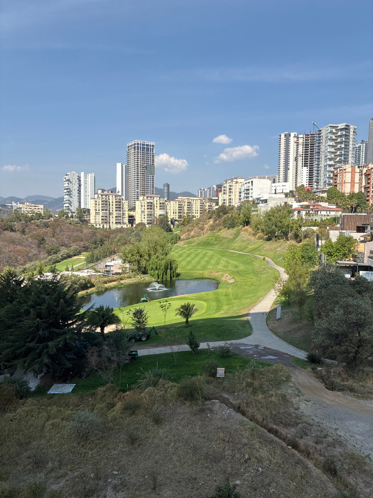 Resident documents pets and neighborhood views in Mexican suburb
